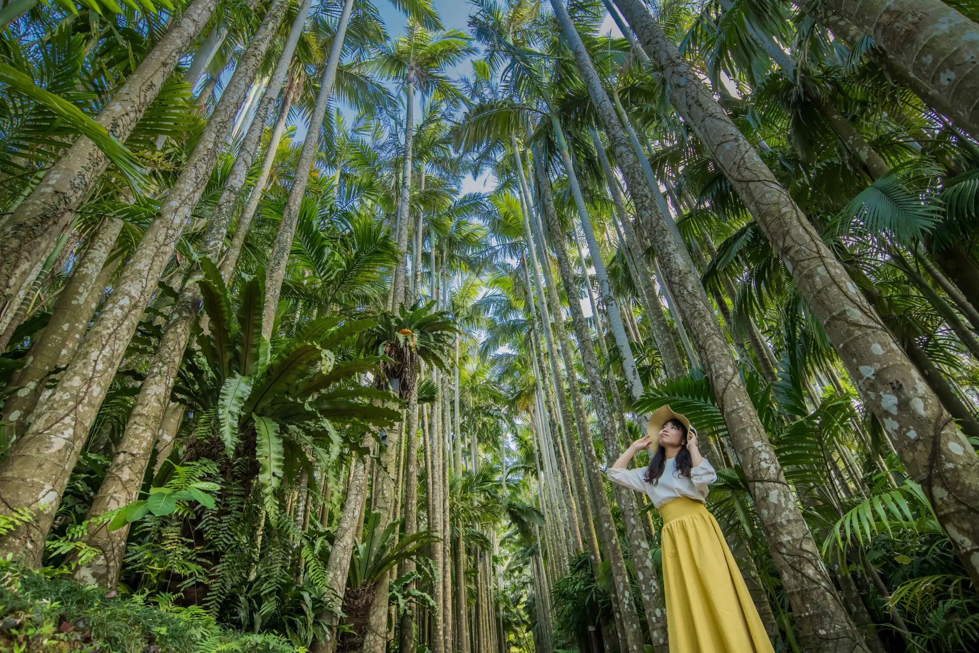 亜熱帯の植物が生い茂る、緑豊かな園内