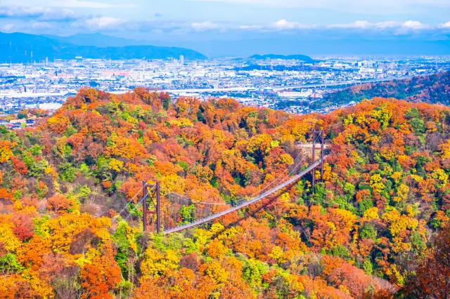 ชมสะพานโฮชิโนะบุรังโกะที่ทอดผ่านป่าใบไม้เปลี่ยนสีและทิวทัศน์เมืองจากสวนโฮชิดะ จังหวัดโอซาก้า