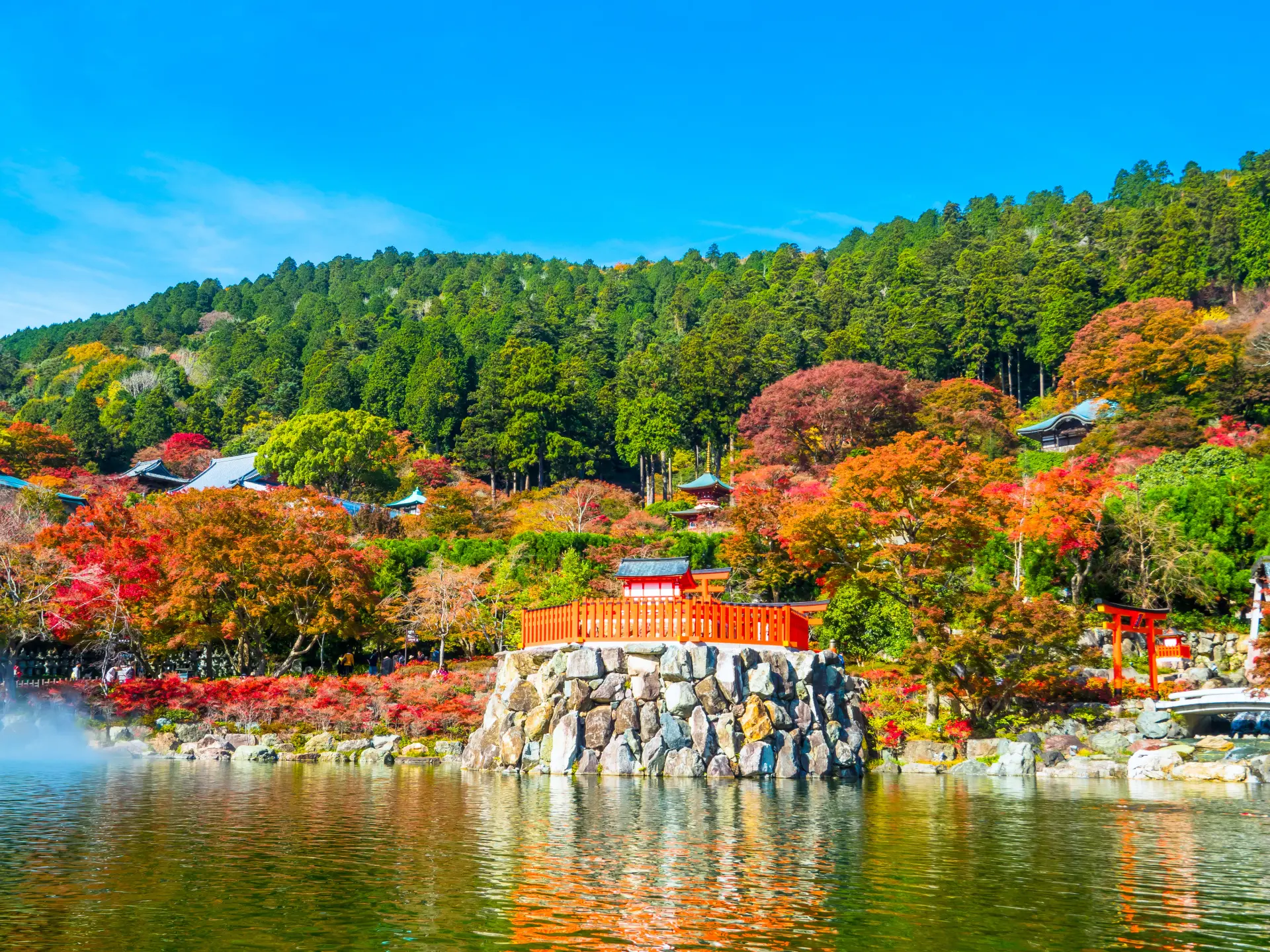 約8万坪の広大な境内を、赤や黄色の紅葉が鮮やかに彩る