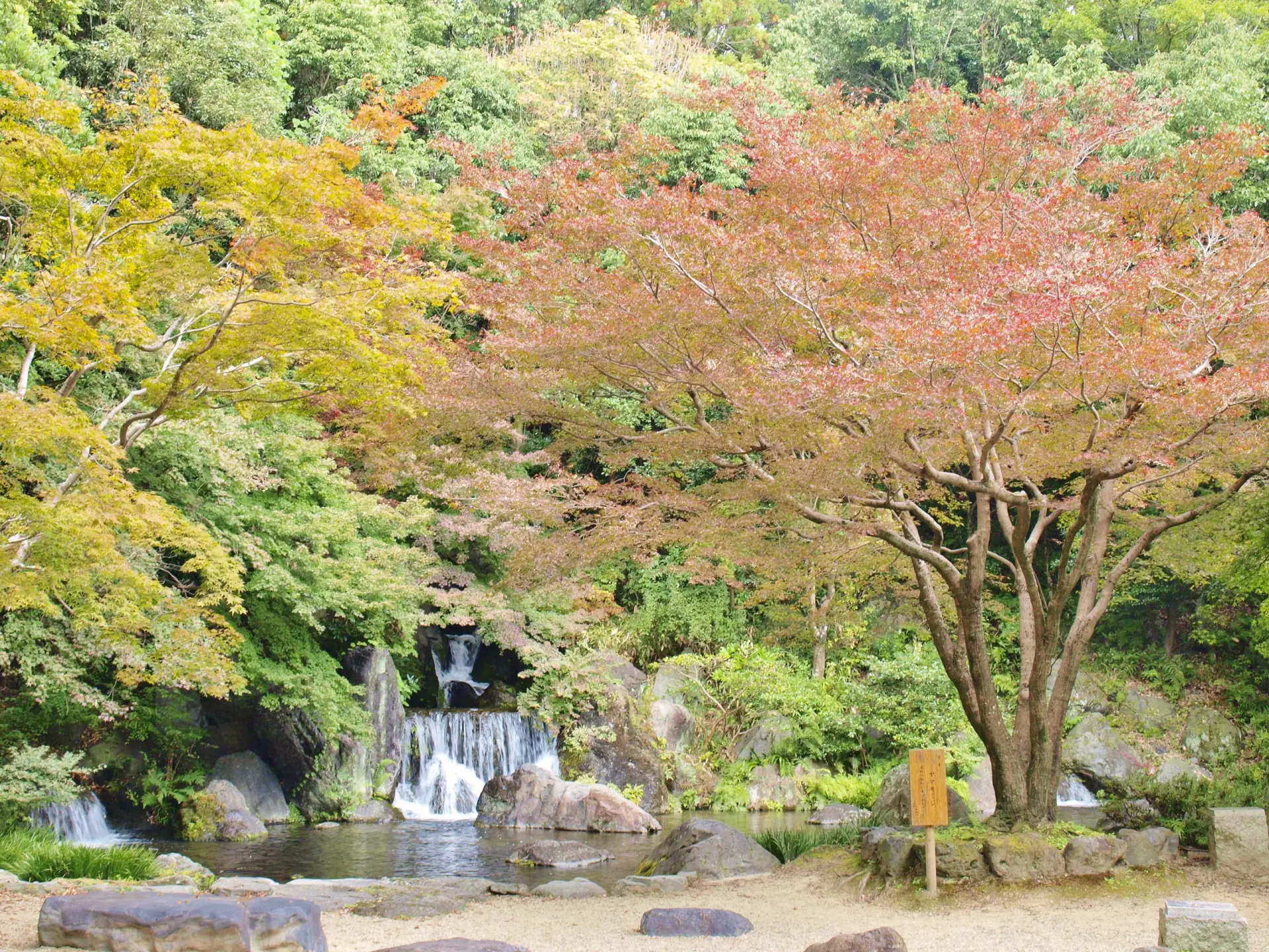 滝や池を配した日本庭園を、色づき始めた木々が彩る