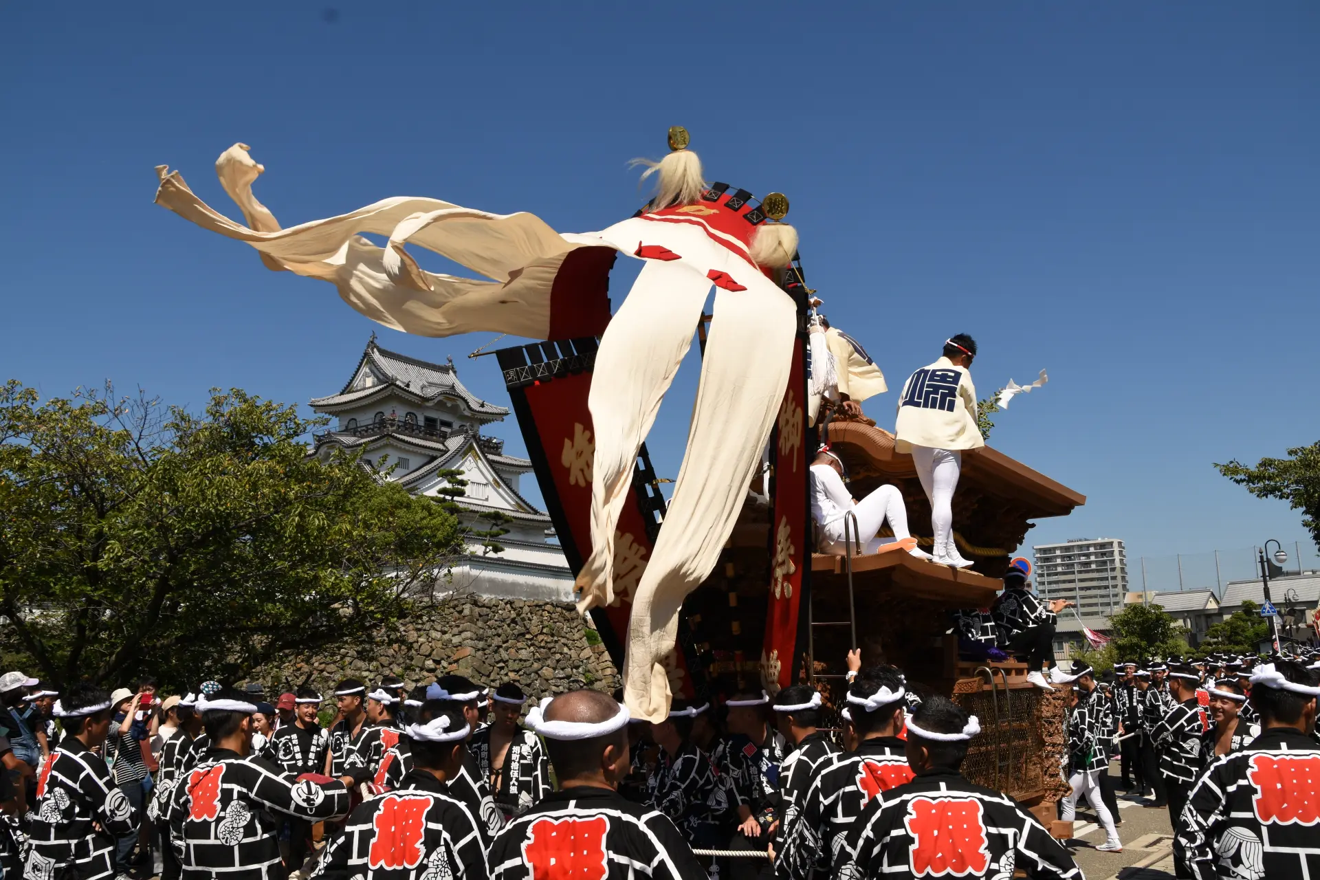 岸和田城を背景に、大勢の曳き手がだんじりを力強く曳く