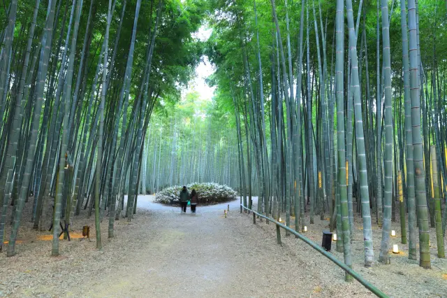15 Popular Date Spots in Tochigi: A Special Time Surrounded by World Heritage Sites and Spectacular Scenery