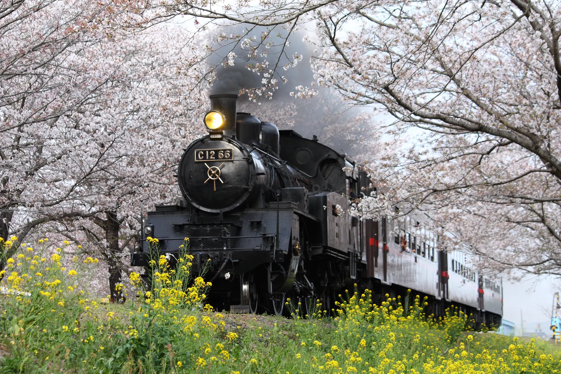 A restored train car that operated for approximately 40 years during the Japanese National Railways era