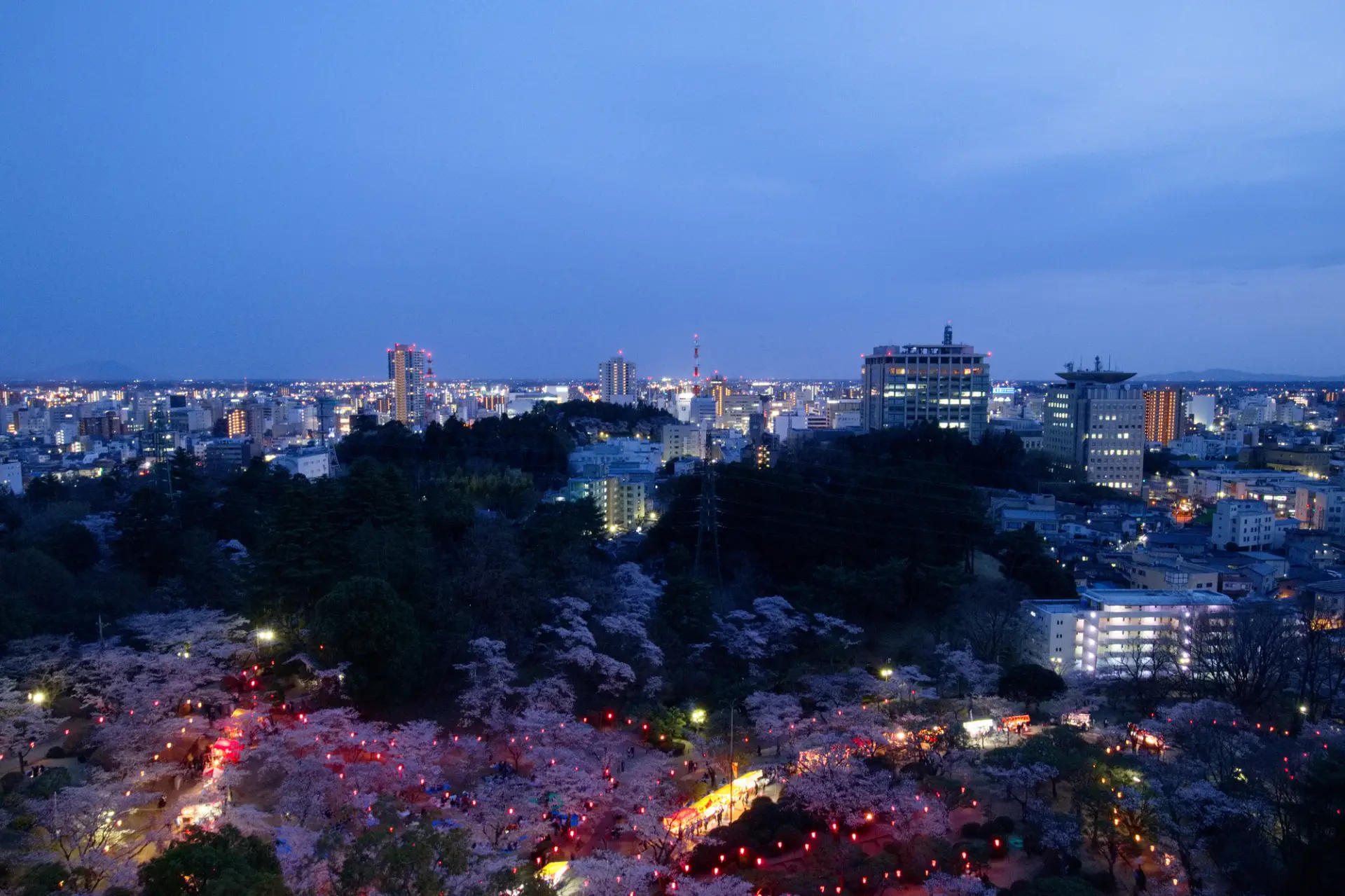 Utsunomiya Tower offers panoramic nighttime views of the park and city below