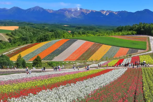 色鮮やかな花畑が大地を彩り、その先に雄大な山並みが連なる