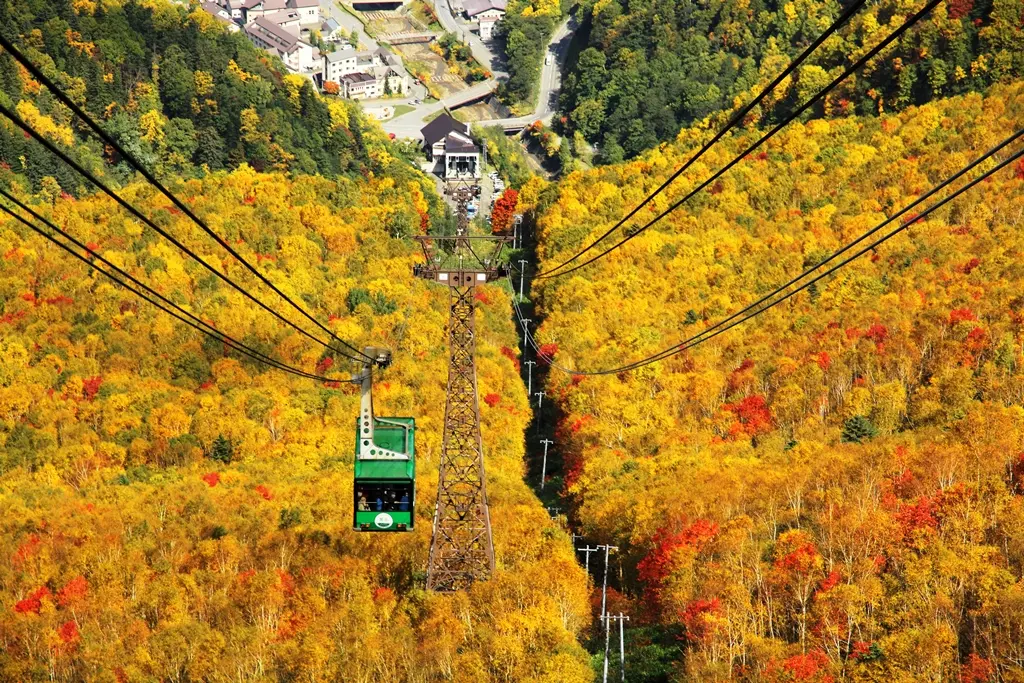 鮮やかな紅葉に包まれた山肌を進む、秋の黒岳ロープウェイ