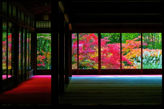 【秋の京都観光ガイド】紅葉と歴史文化、芸術を楽しむ京都の秋旅へ