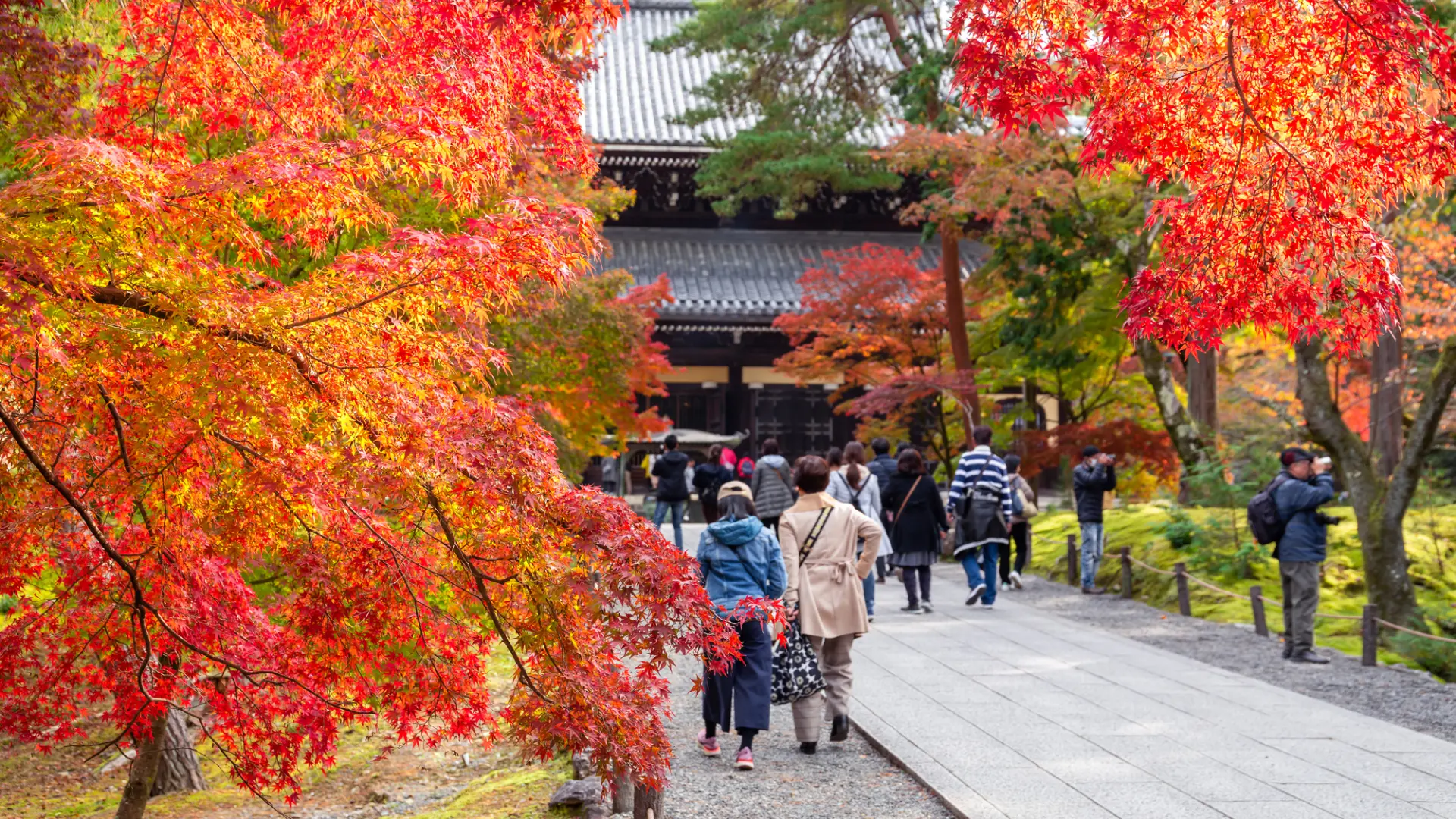 鮮やかな紅葉に包まれた境内を歩く、秋の南禅寺
