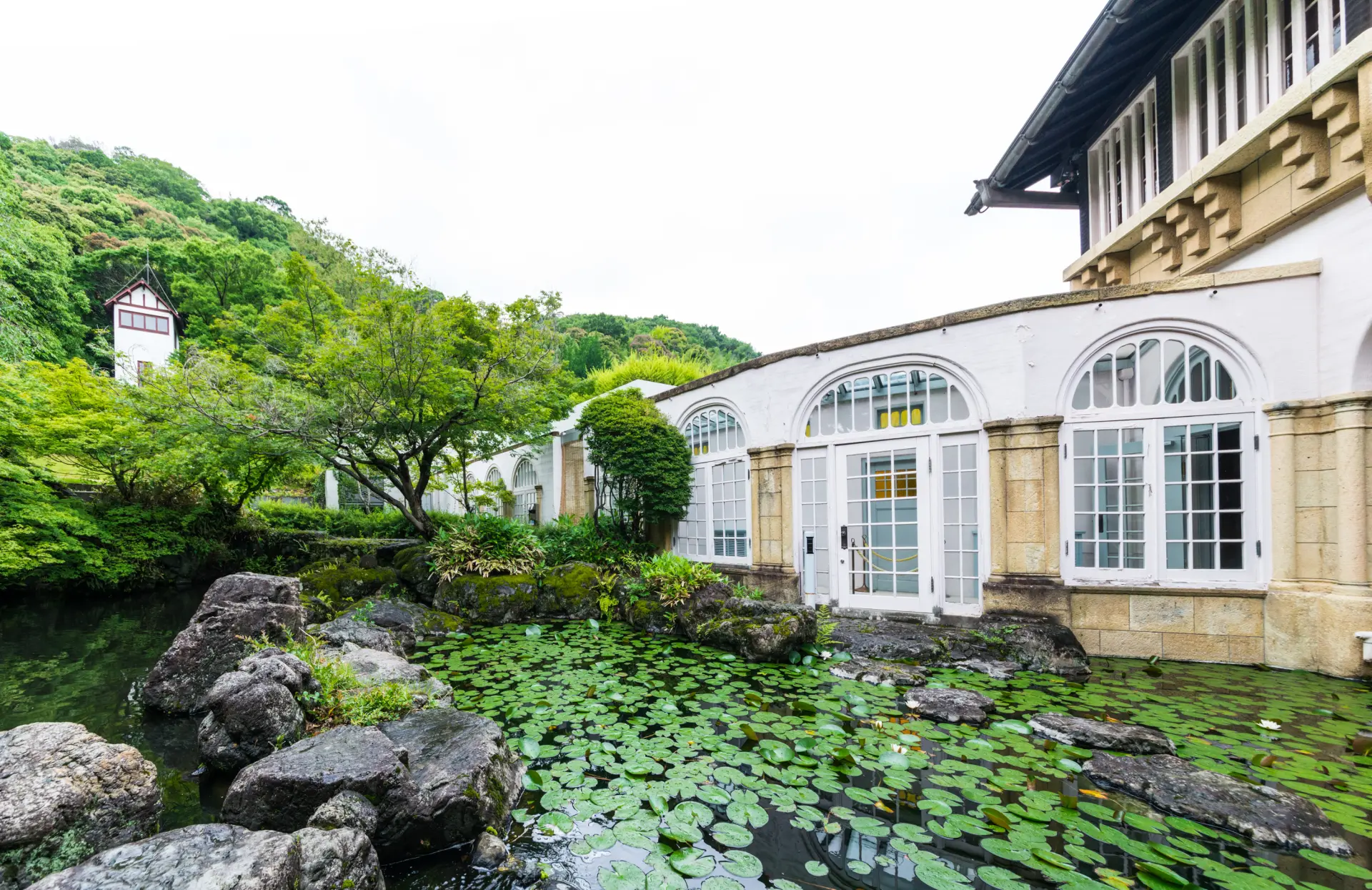 本館の脇に広がる、緑豊かな庭園の睡蓮池