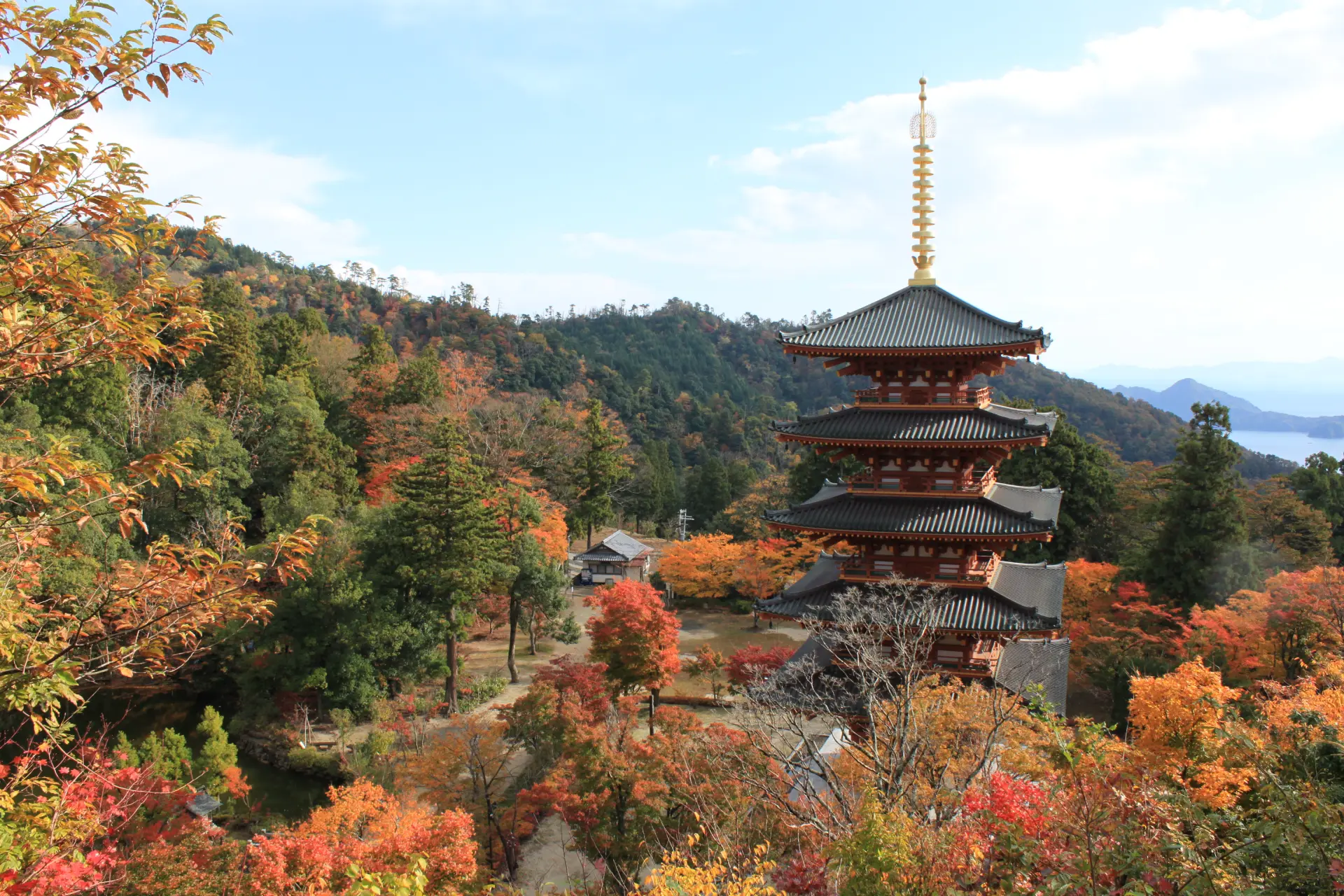 黄や橙、赤に色づく木々に囲まれた、秋の成相寺五重塔