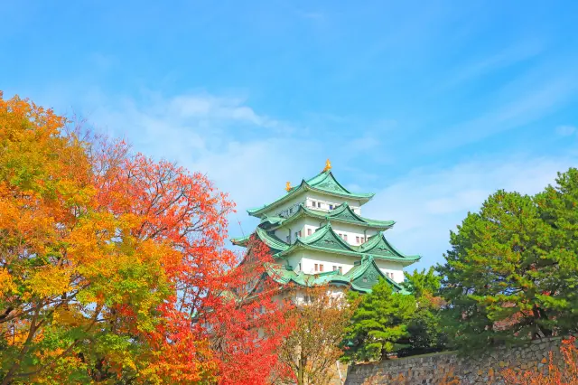 Nagoya Fall Travel Guide: Fall Foliage, Historic Streets, and Nagoya Cuisine