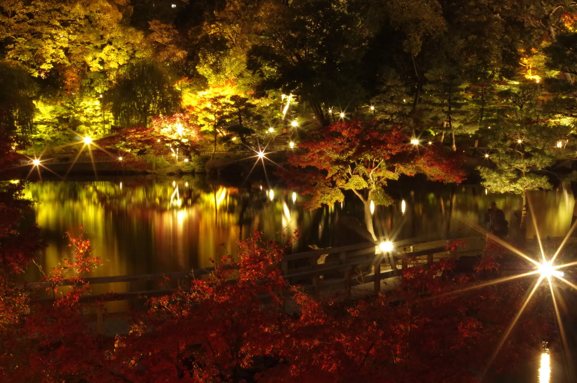 ライトアップされた紅葉が園内を幻想的に彩る「徳川園 紅葉祭」