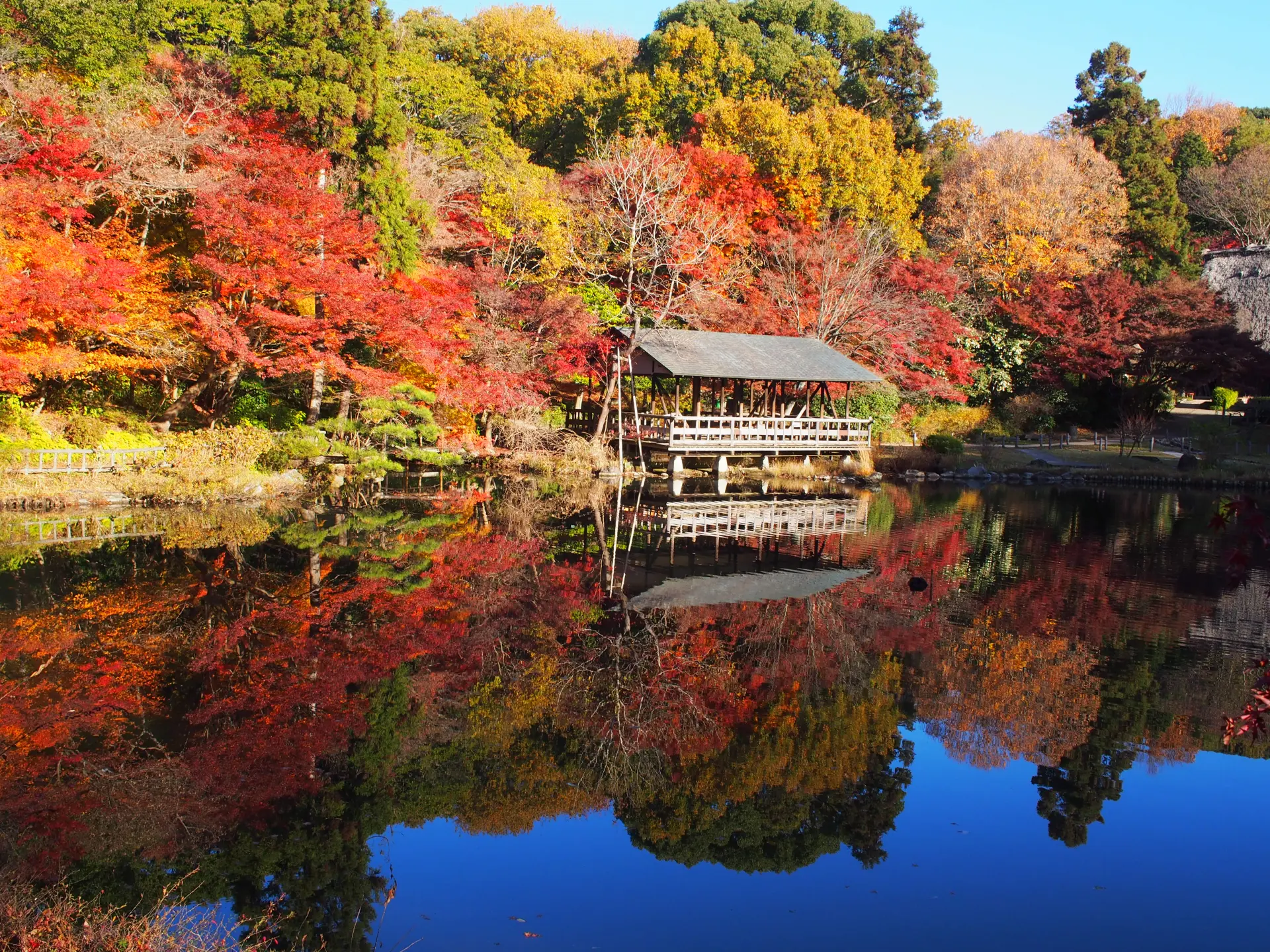 水面にも紅葉が映り込む、名古屋市東山動植物園の植物園