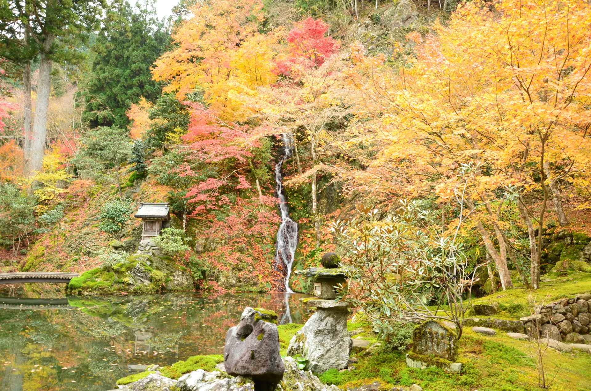 池の周囲を彩る紅葉と苔の緑が美しい秋の「慈恩禅寺」