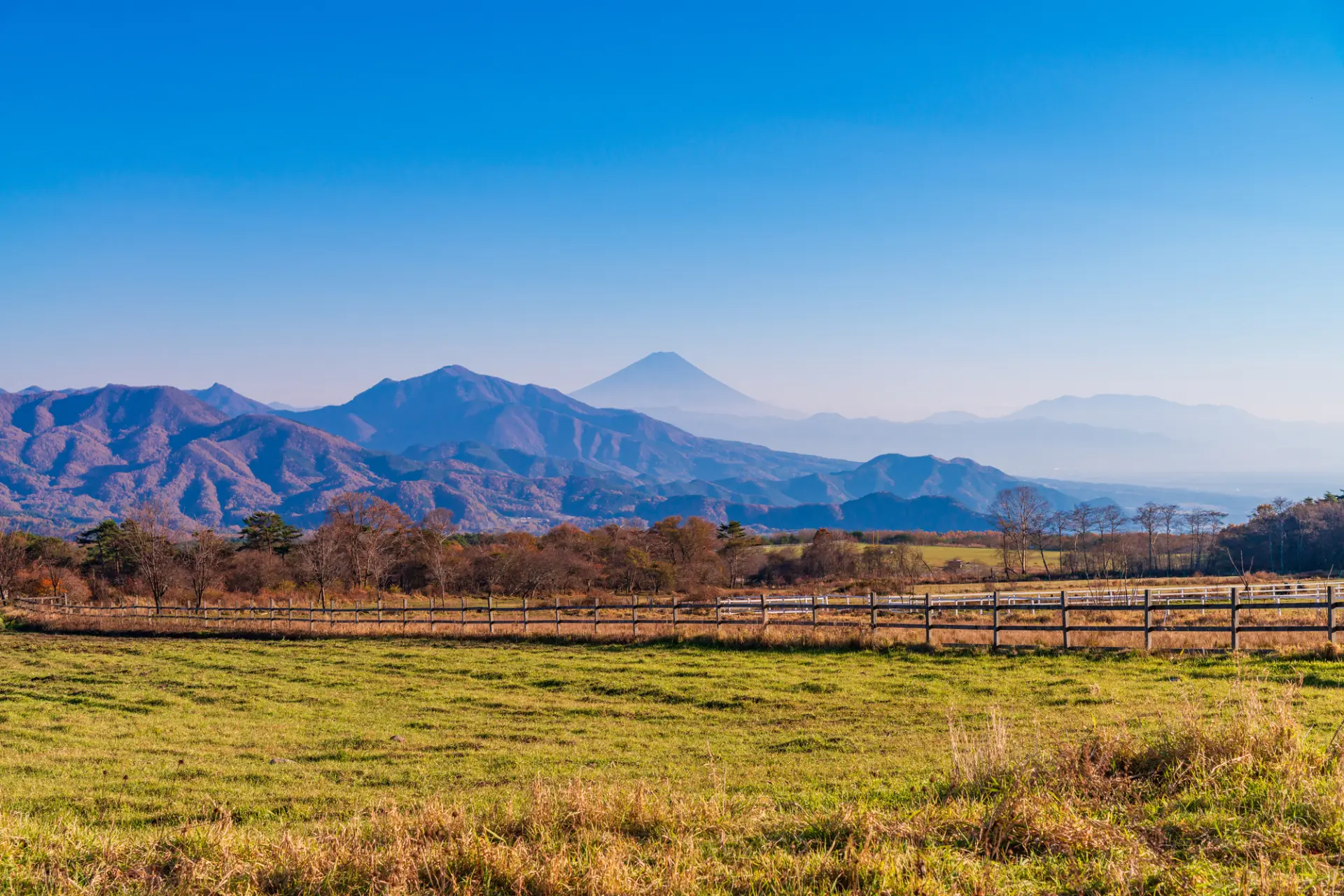 清里・八ヶ岳周辺では、高原の木々が色づき始め、秋らしい景色が広がる