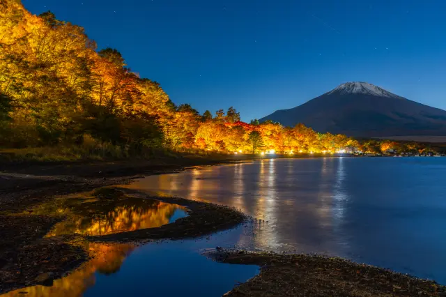 ライトアップされた紅葉が山中湖畔を彩る「山中湖夕焼けの渚 紅葉まつり」