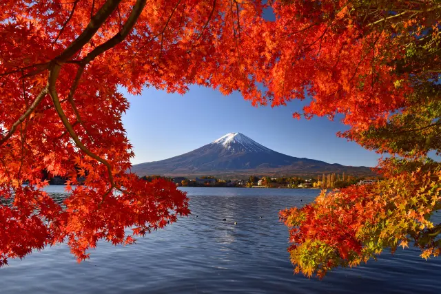 赤く色づいたモミジ越しに、湖面と富士山を望む秋の絶景