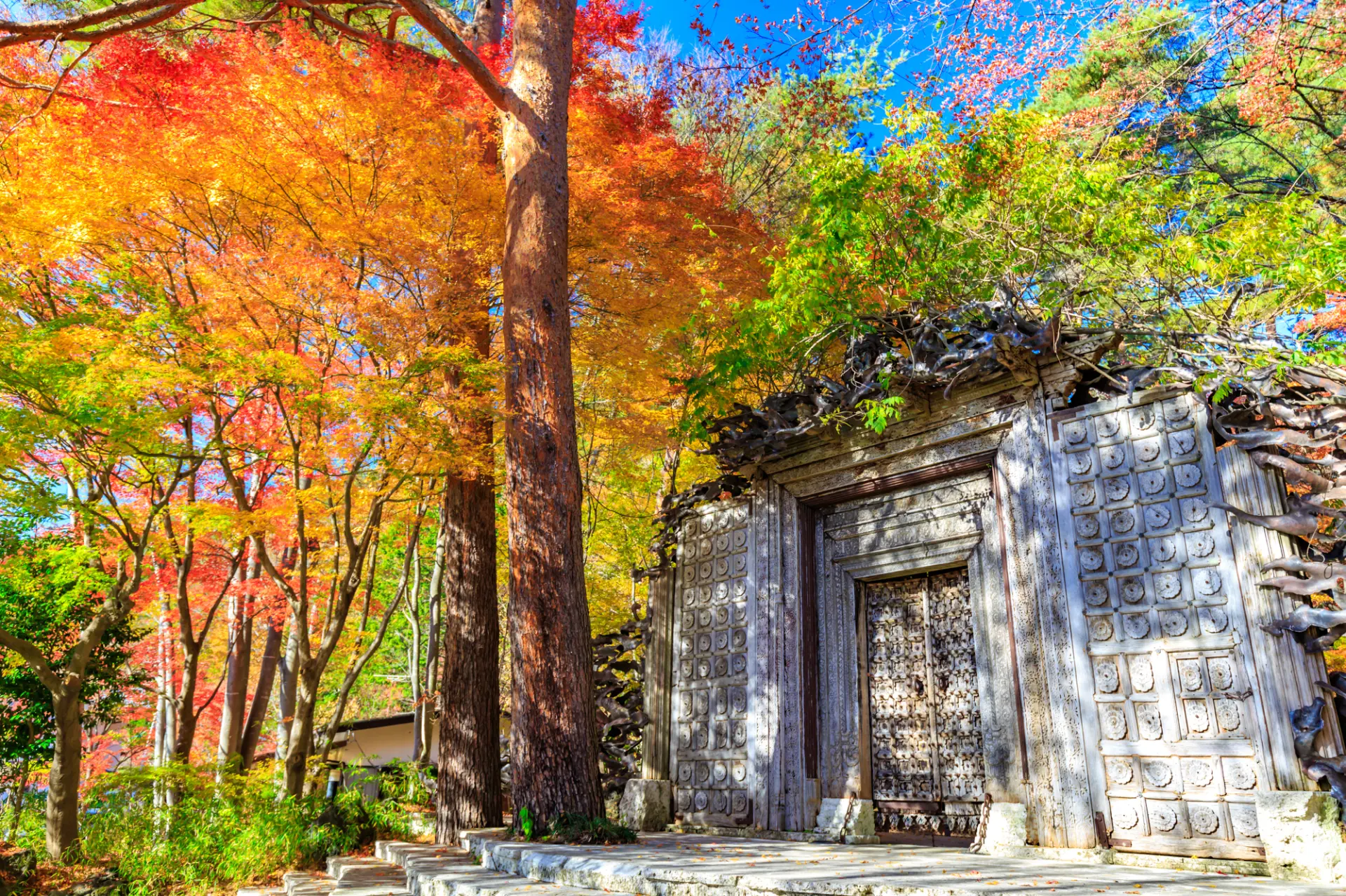 紅葉に包まれた、重厚な意匠の正門