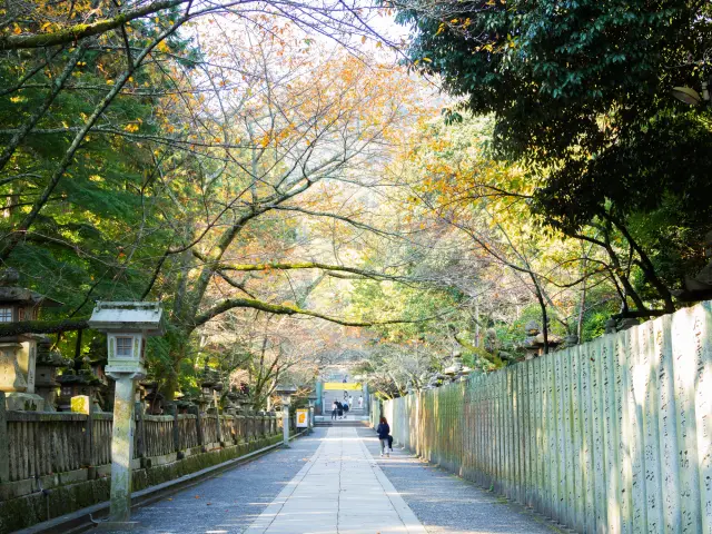 歴史ある風情が漂う、金刀比羅宮の参道