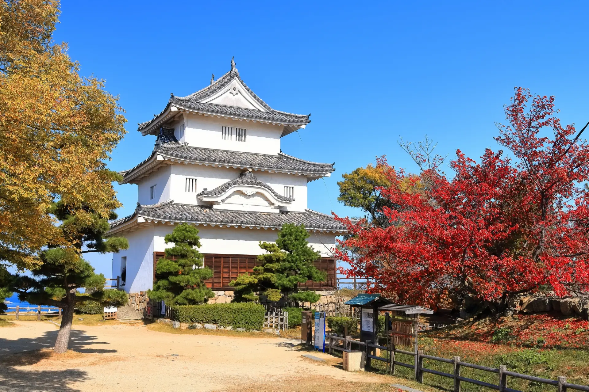 白亜の天守と、赤や黄に色づく木々が調和する丸亀城の風景