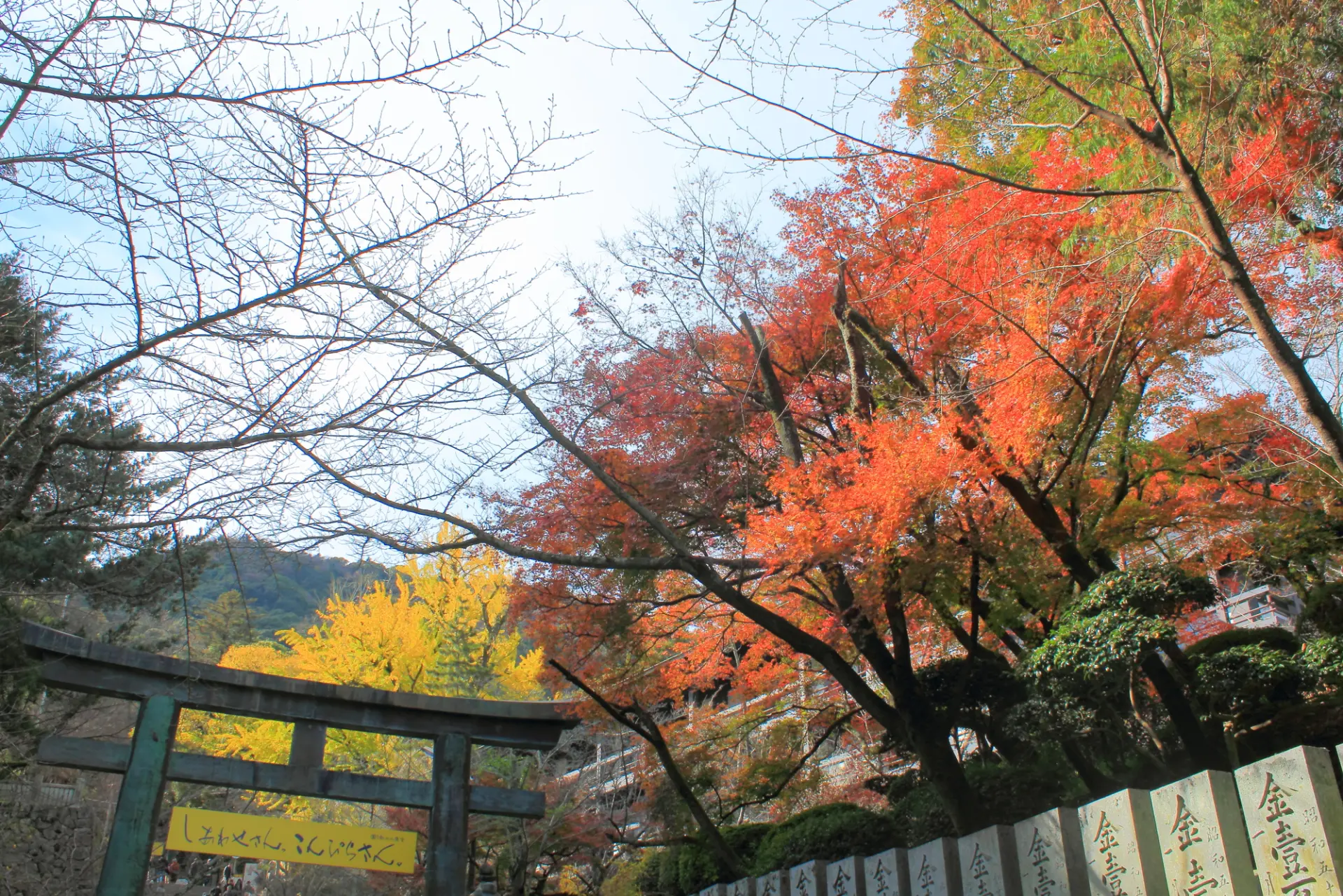 赤や黄に色づく木々が、参道周辺を鮮やかに彩る