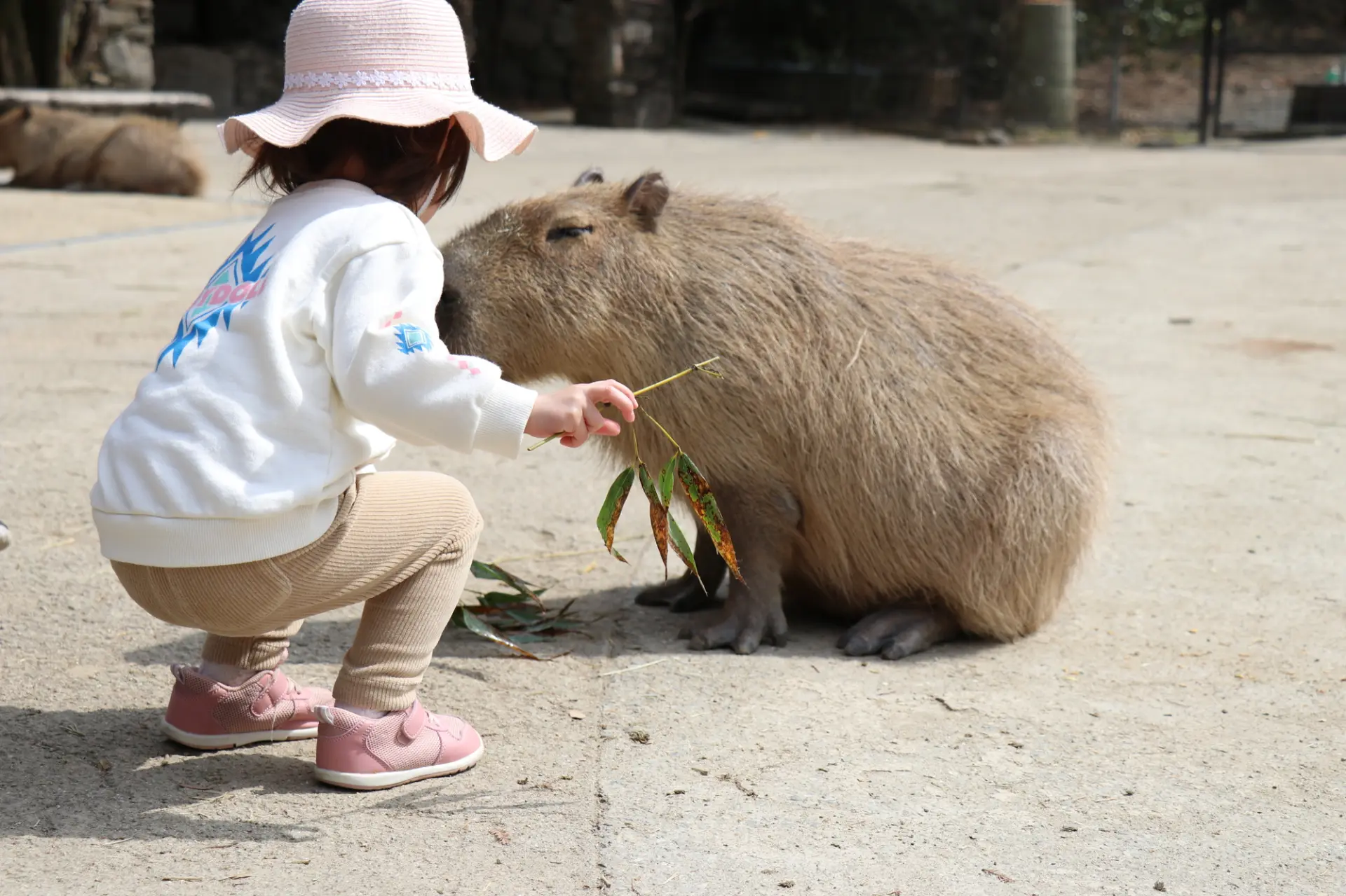 海と異国情緒、動物との出会いを楽しむ!長崎の親子旅行におすすめの観光スポット13選