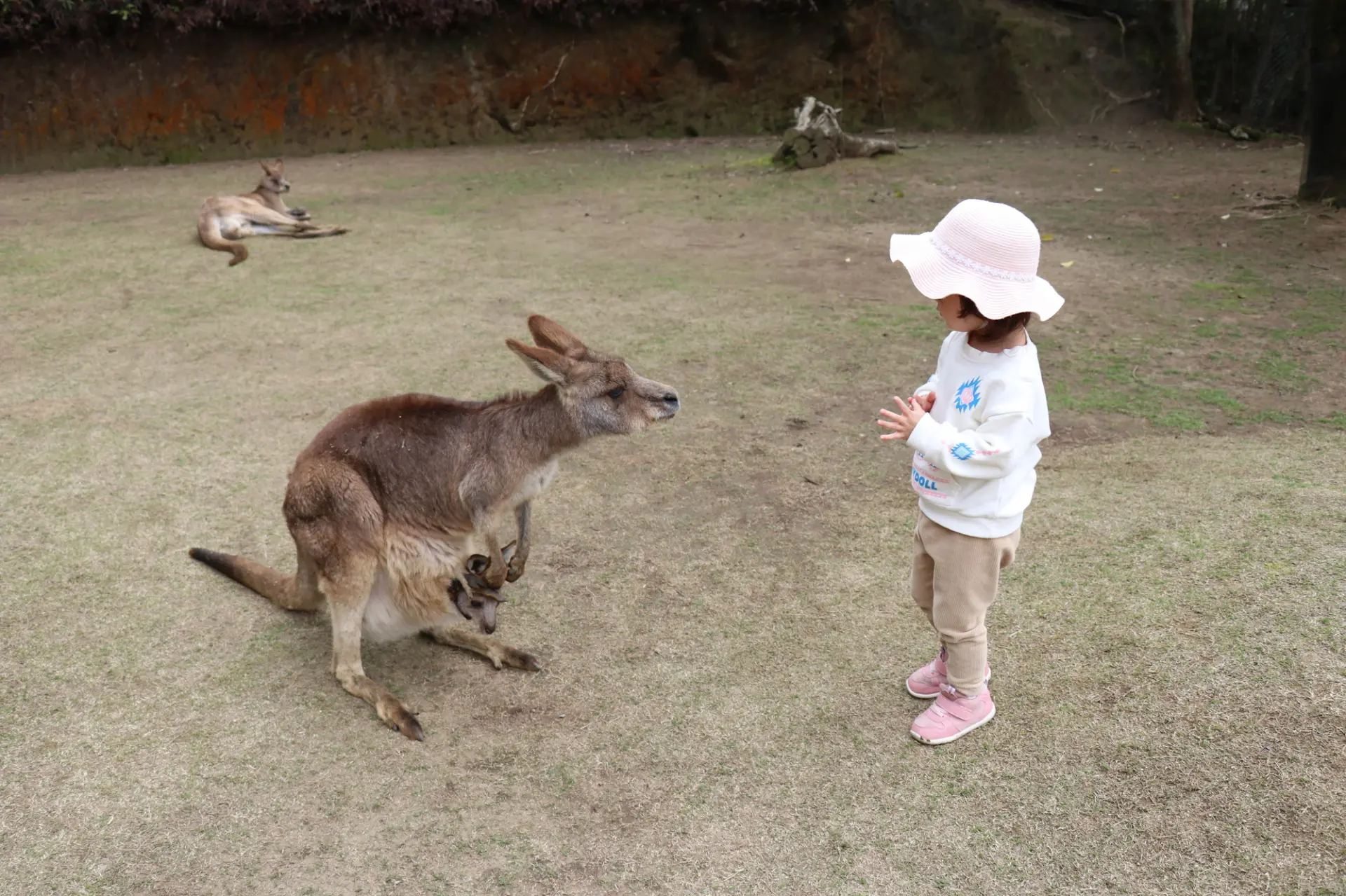 動物と触れ合える施設のほか、子どもが夢中で楽しめるスポットが盛りだくさん