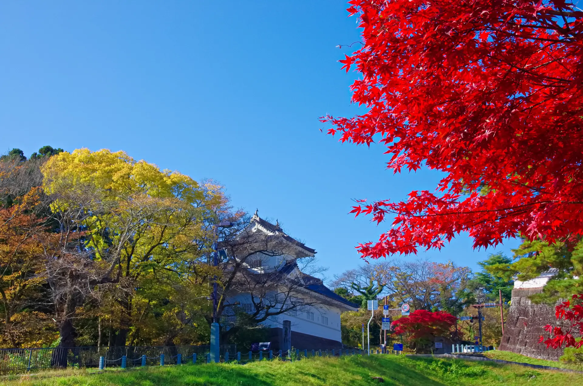 鮮やかに色づいたモミジ越しに、再建された大手門の脇櫓を望む秋の景観