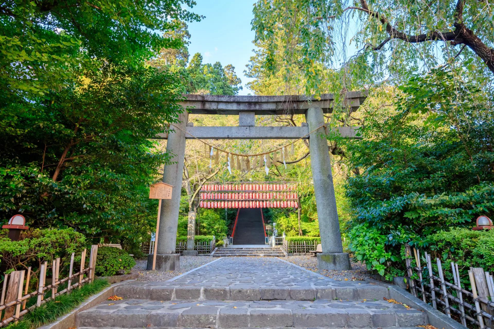 石鳥居の先に緑に包まれた参道が延び、奥に朱塗りの建物がのぞく