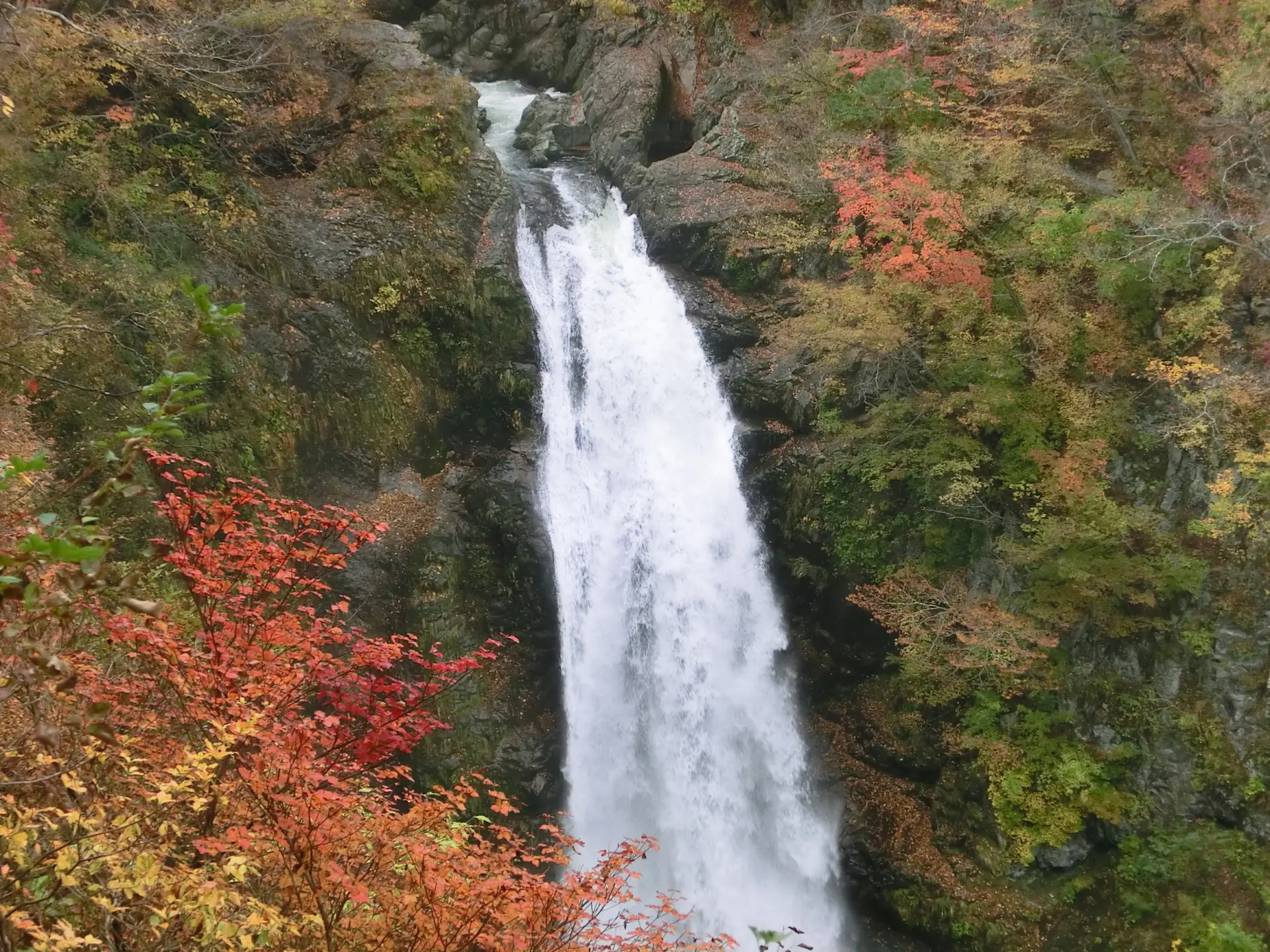 紅葉に彩られた渓谷を、豪快に流れ落ちる滝姿は圧巻