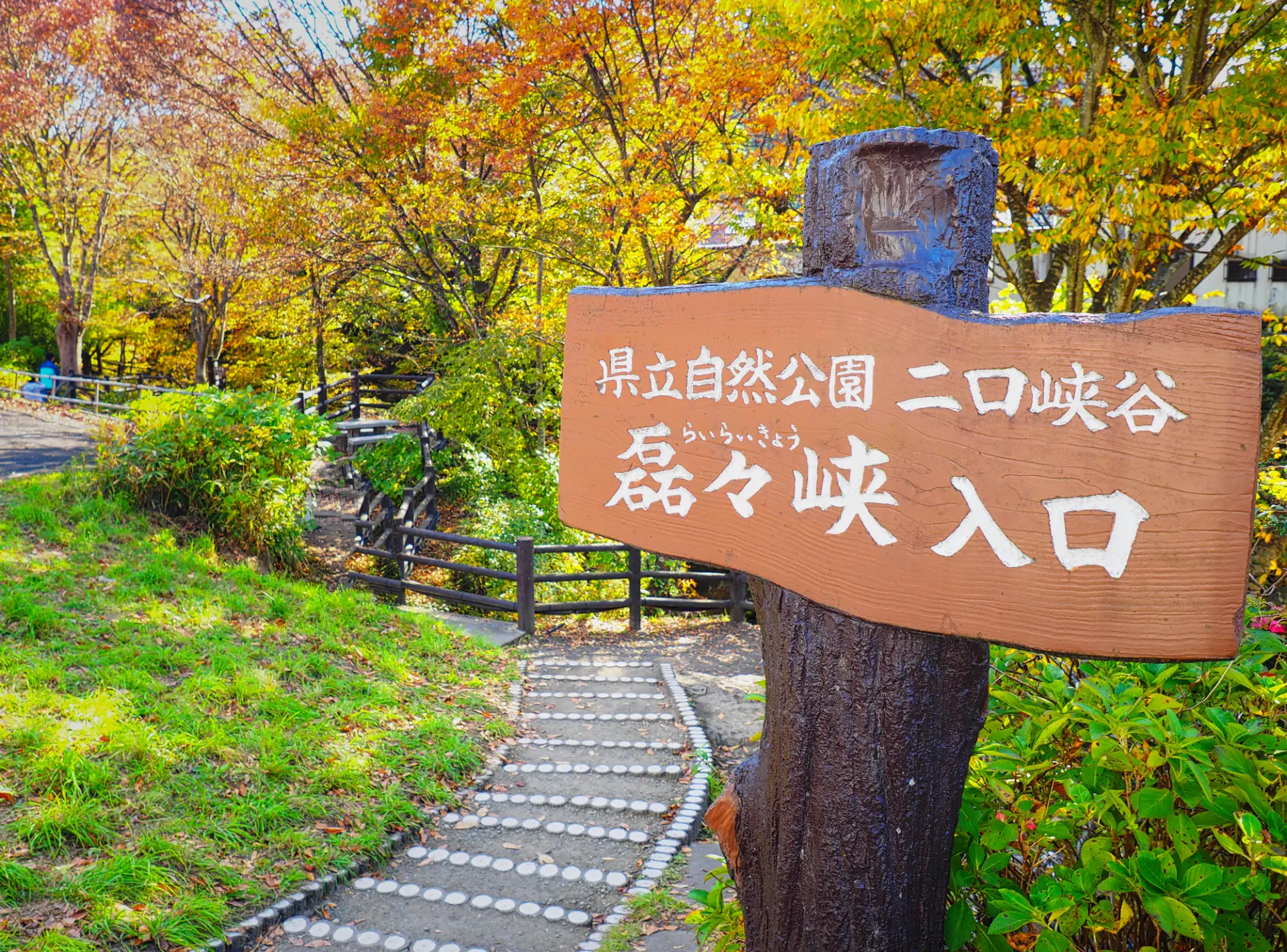 紅葉に彩られた遊歩道から、秋の渓谷美を楽しめる