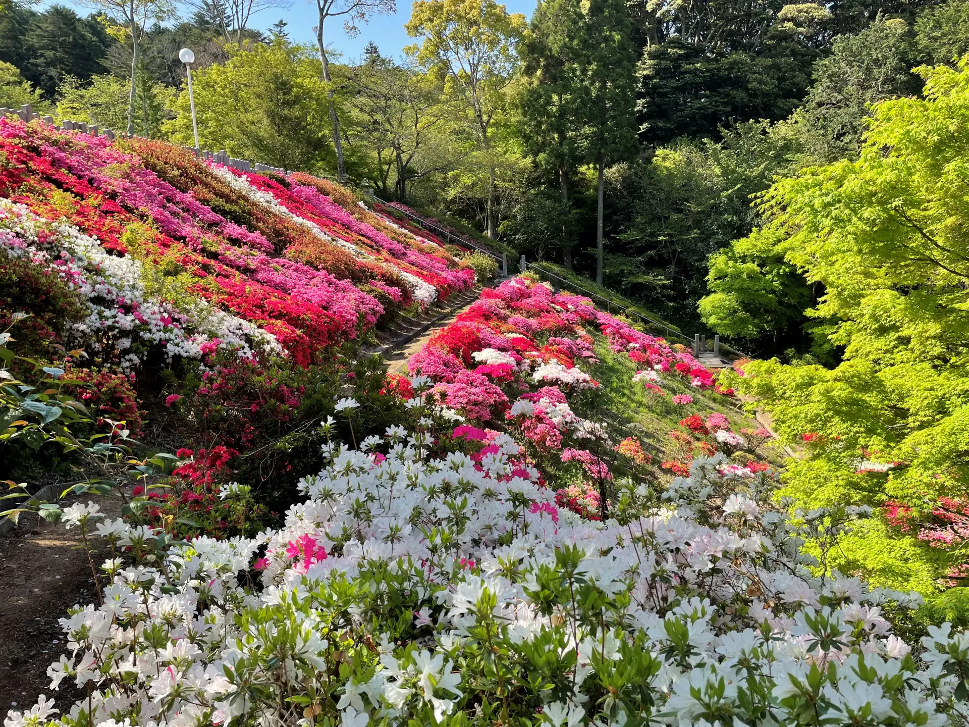 四季各異的色彩也是「鎮國寺」的魅力