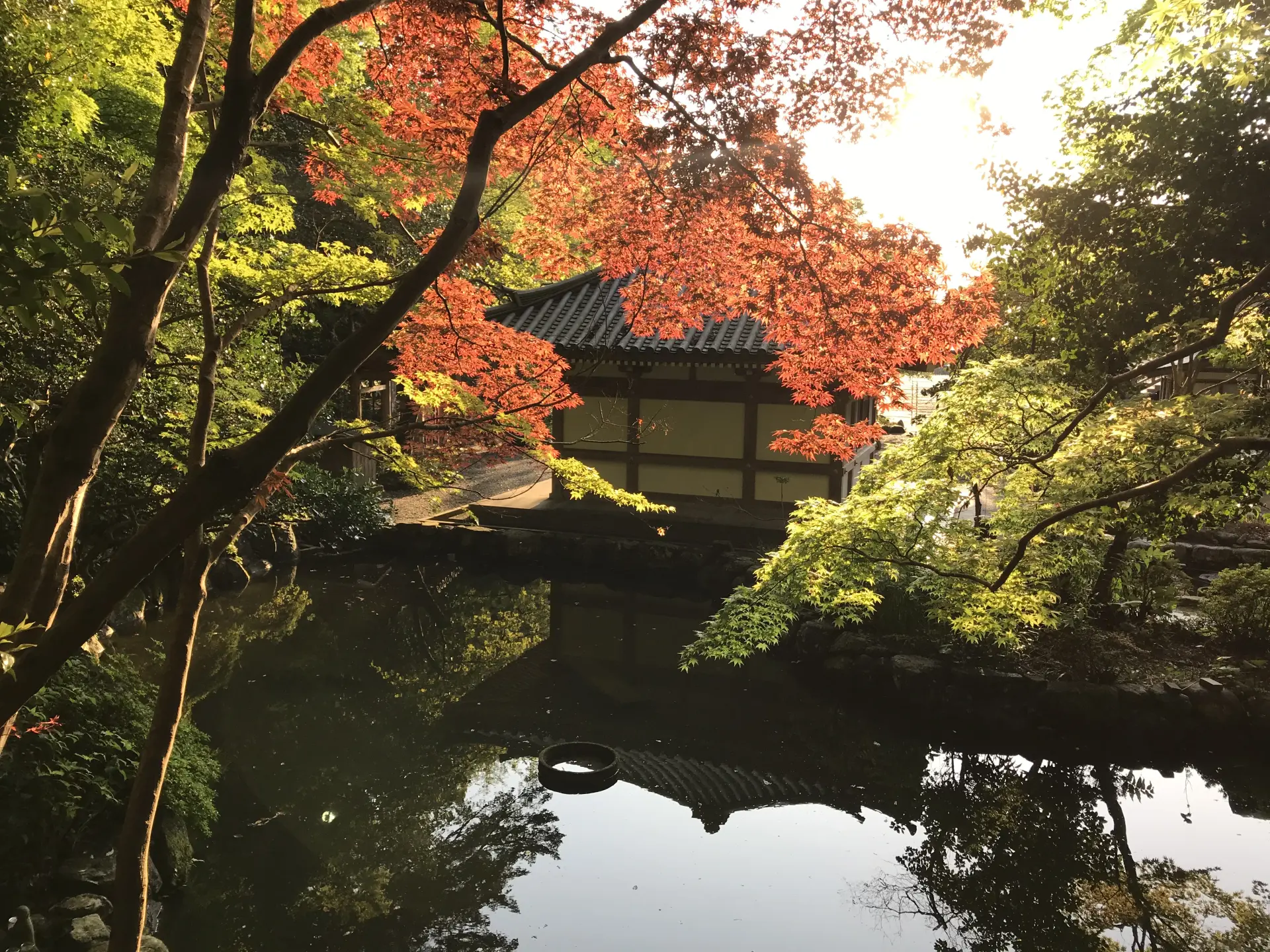 秋季紅葉將境內染上鮮豔色彩