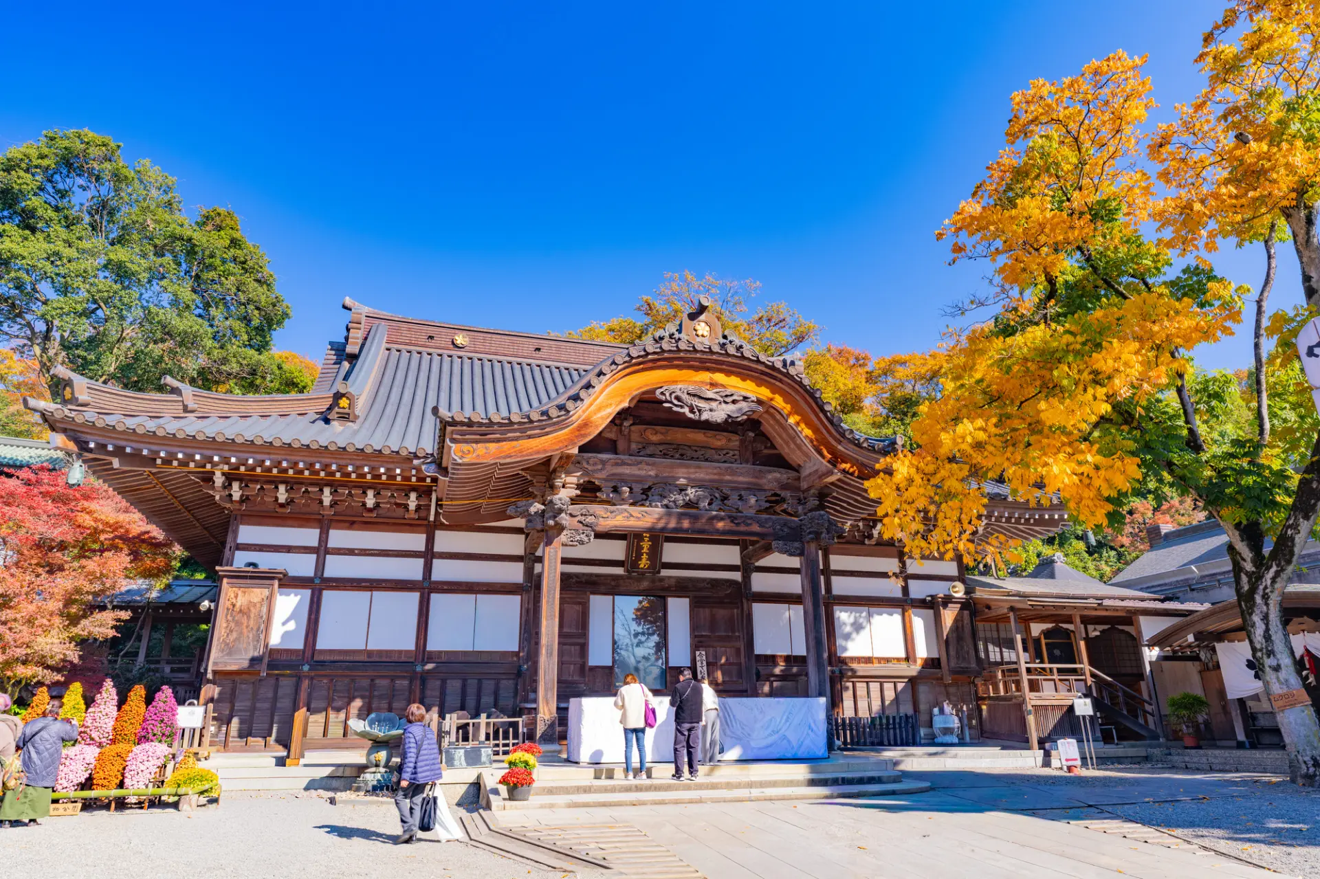 色づく木々に囲まれ、多くの参拝者が訪れる本堂