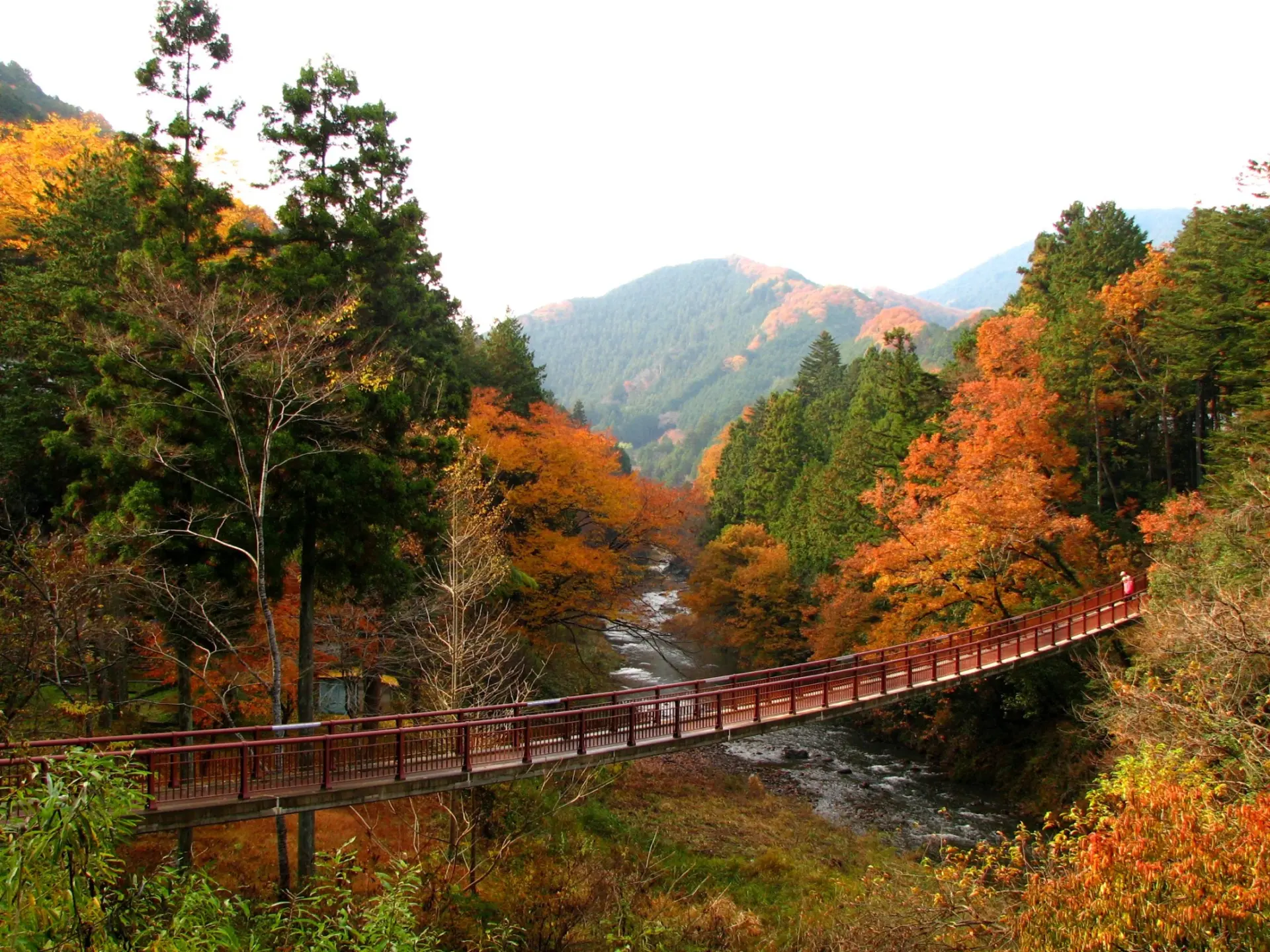 紅葉に彩られた渓谷と「石舟橋」が織りなす秋景色