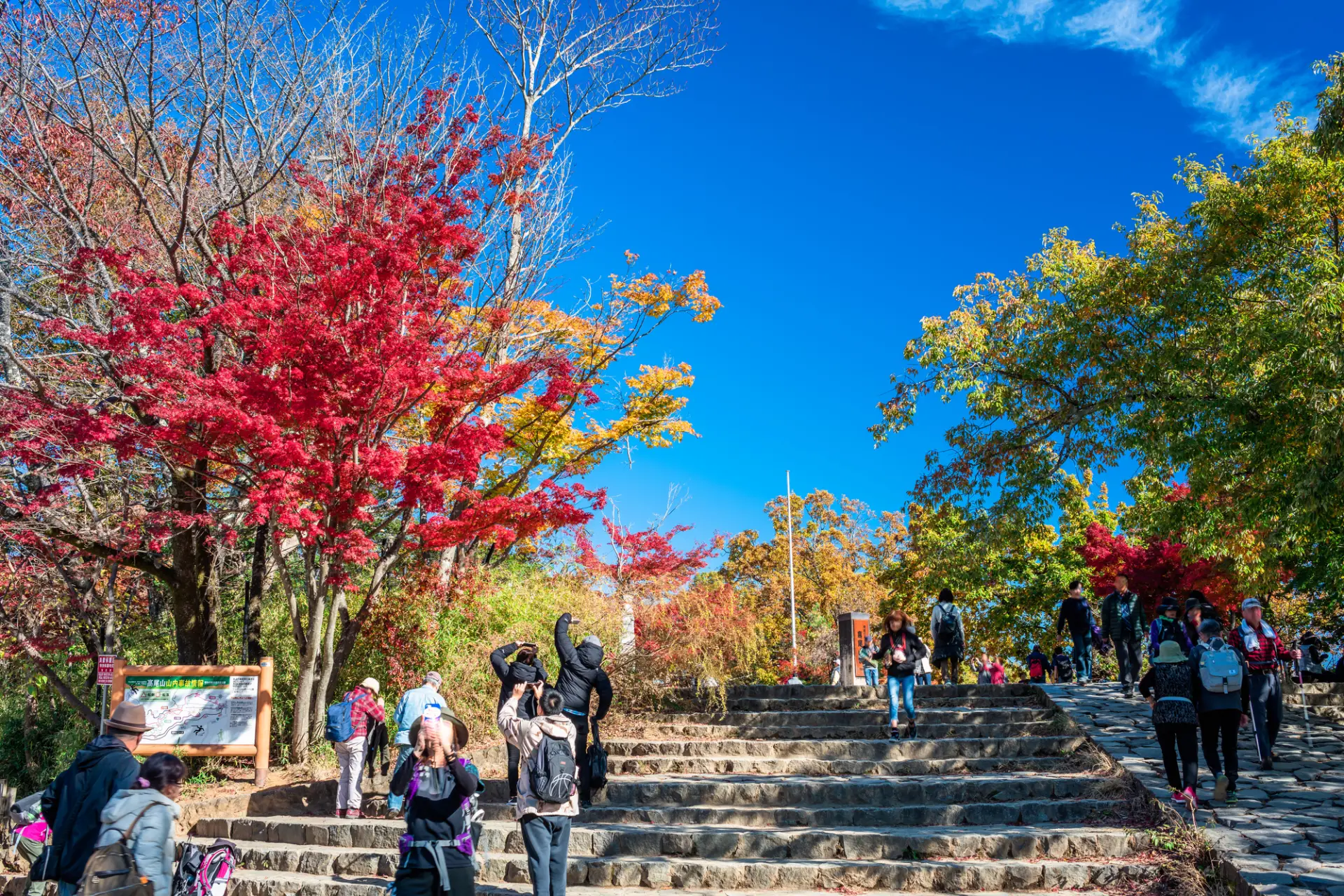 色づく木々を眺めながら歩く、紅葉シーズンの登山道