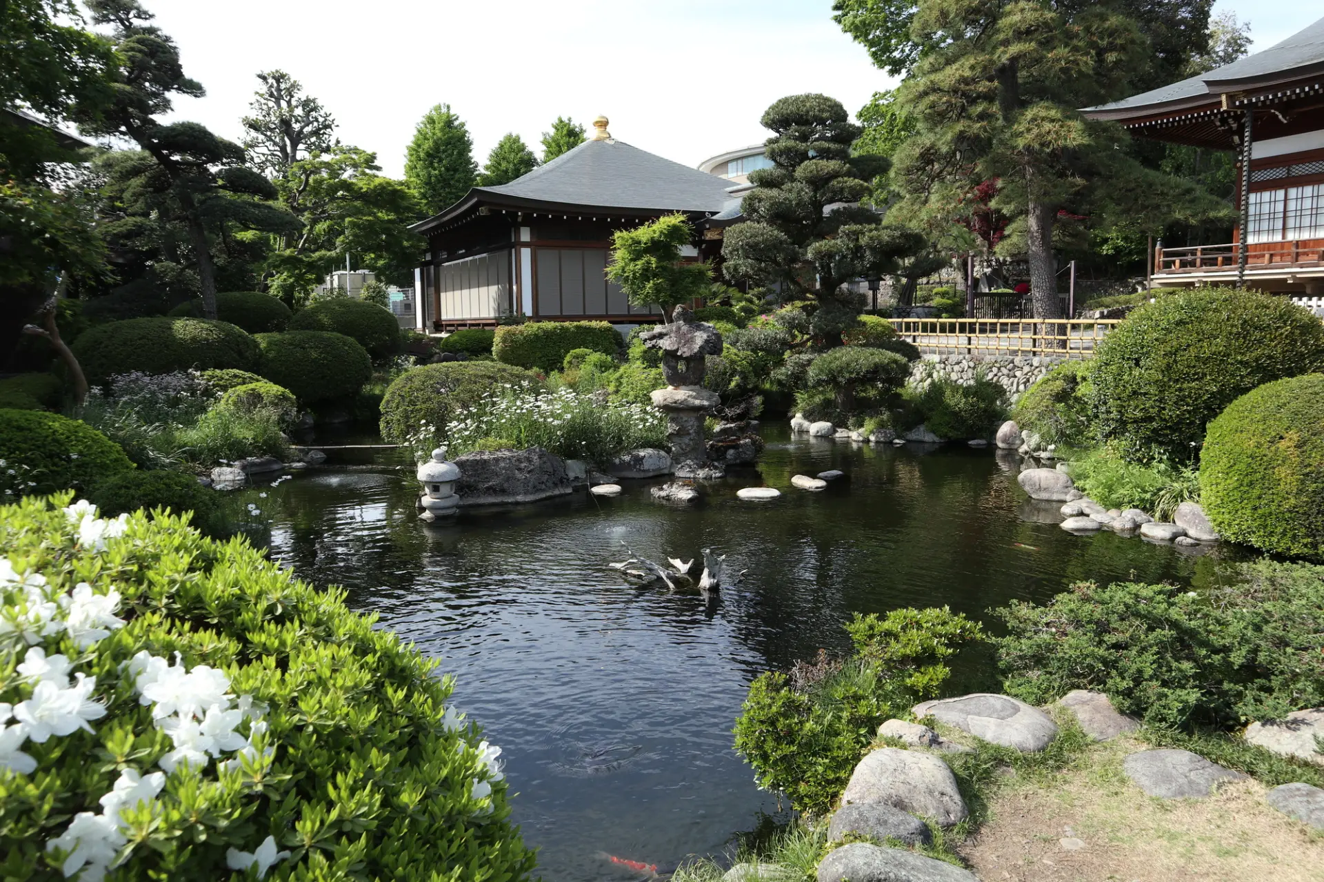 湧水が流れる「清岩院」の日本庭園