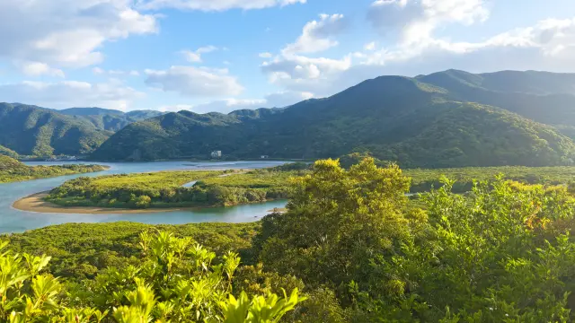 海洋、山岳與亞熱帶森林交織而成的奄美大島風光