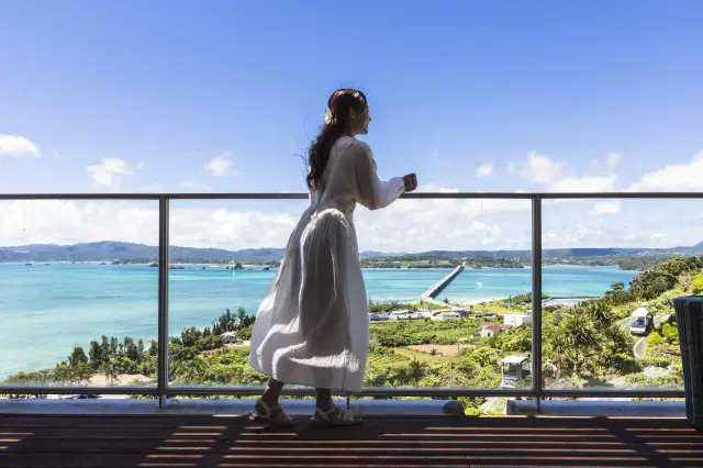 Panoramic views of Kouri Bridge and the ocean from 82 meters above sea level