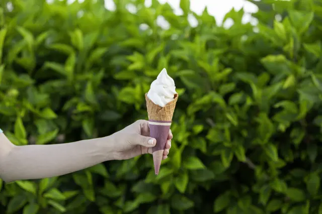Salted Milk Soft-Serve Ice Cream available on-site