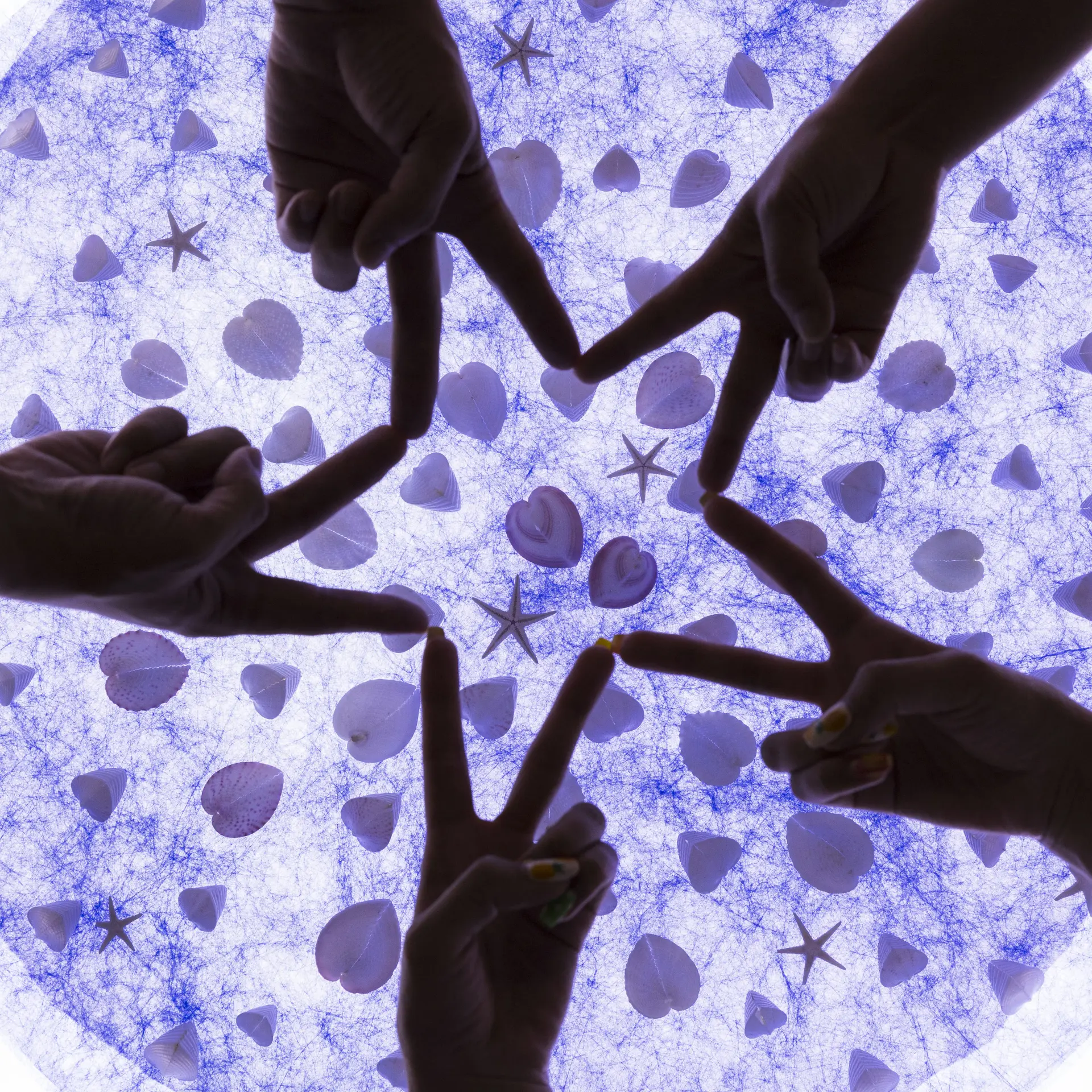 Make a star together for a memorable photo