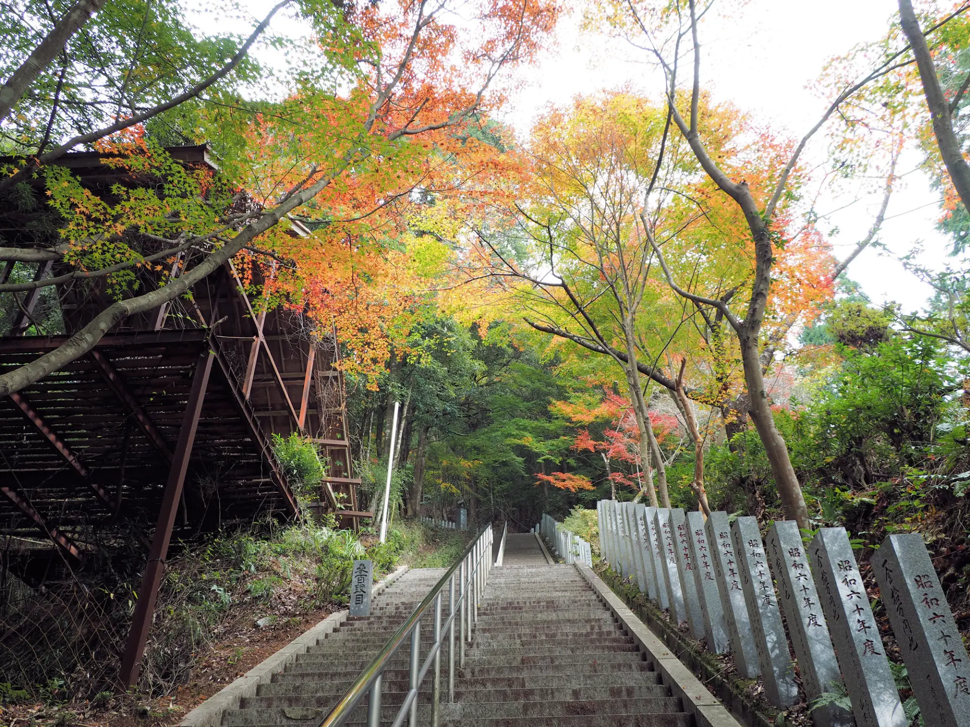 紅葉に包まれた、釈迦院へ続く3333段の石段