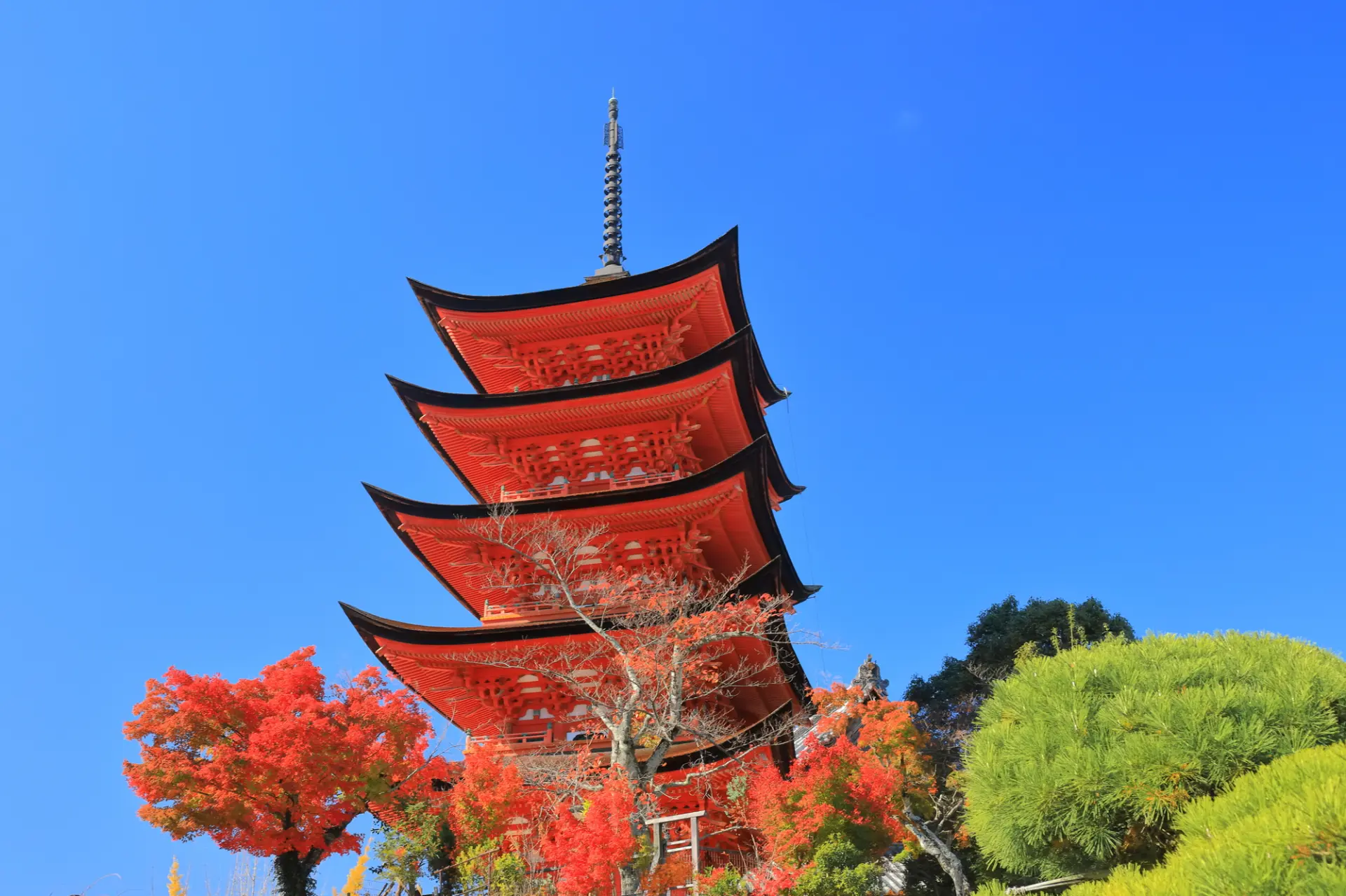 青空に映える、鮮やかな朱色の五重塔