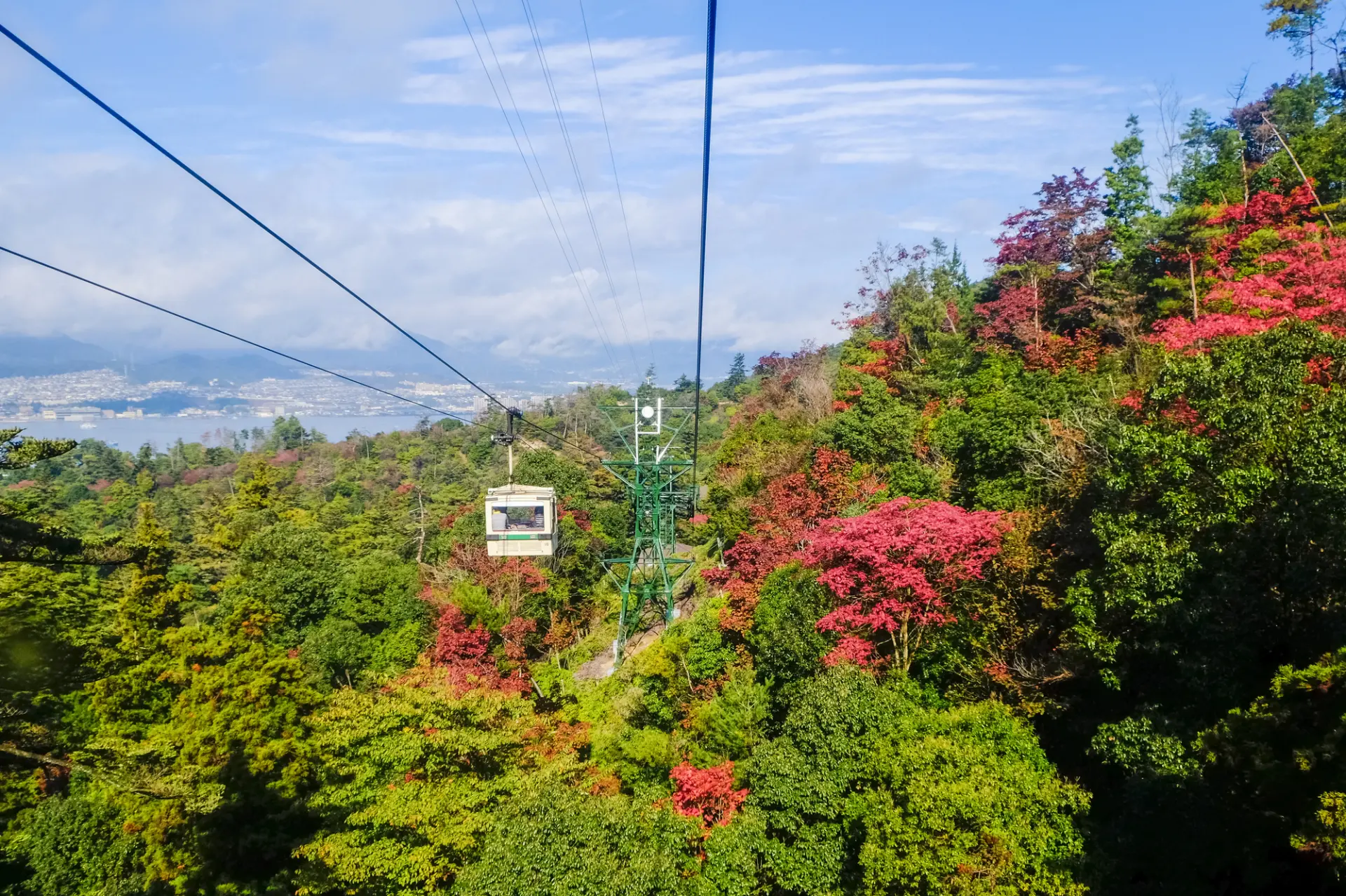 ロープウエーから望む、色づき始めた弥山の山肌