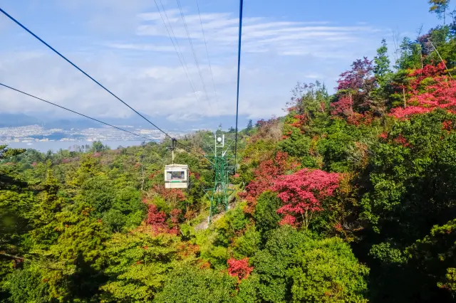 ロープウエーから望む、色づき始めた弥山の山肌