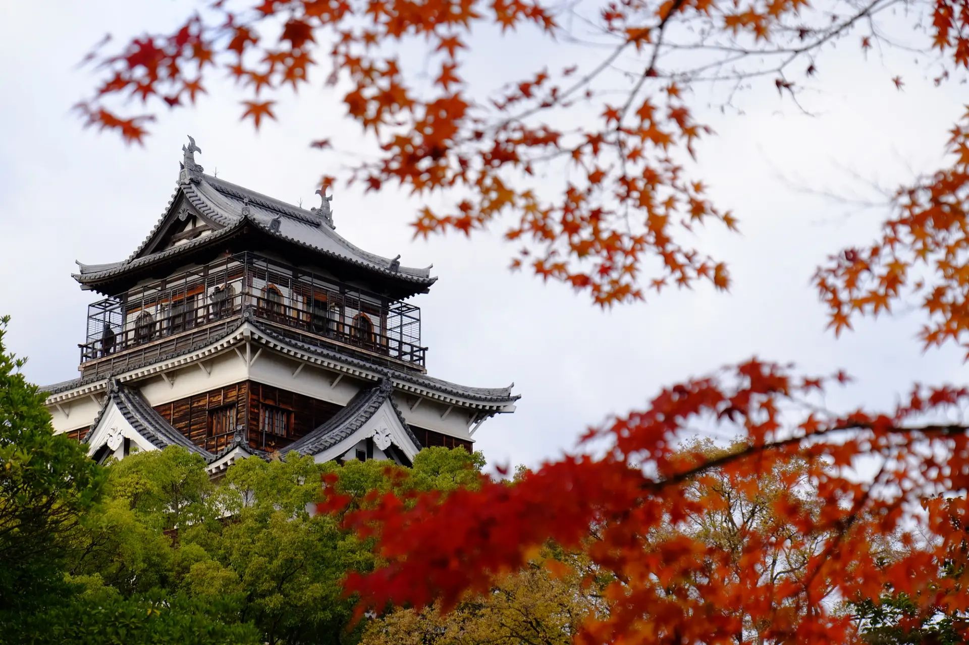 紅葉に縁取られた天守が、秋空の下に凛と立つ