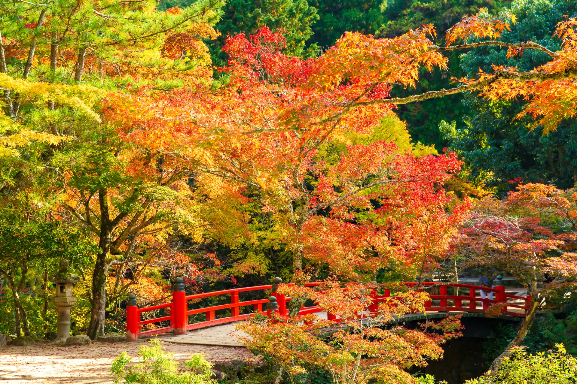 朱塗りの「もみじ橋」と、その下を流れる「紅葉谷川」