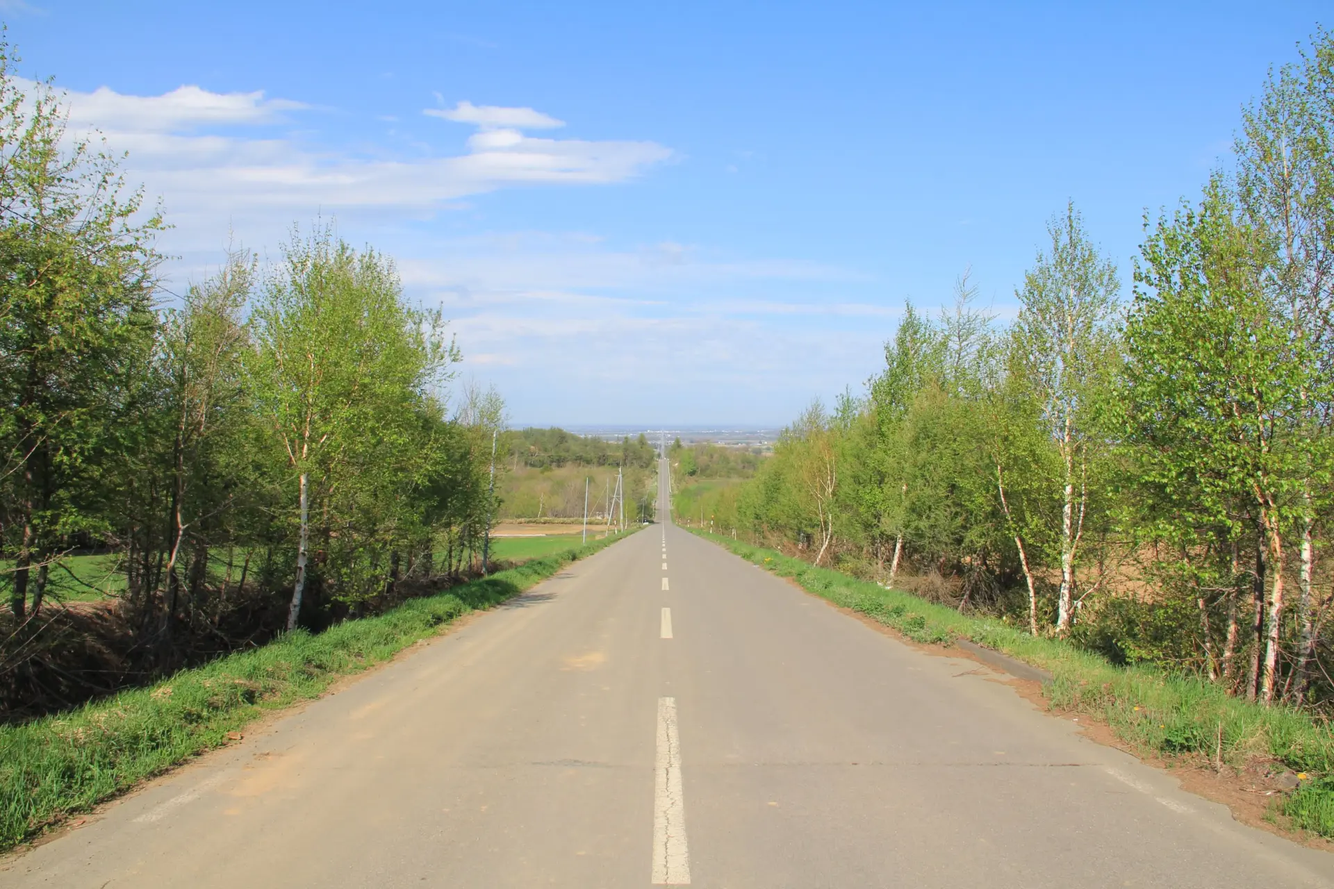 能欣賞東北海道壯麗的大自然