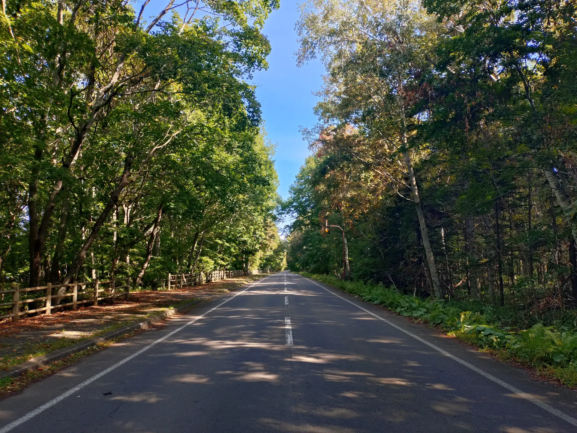 摩周湖附近的自駕路線「屈斜路沿線」