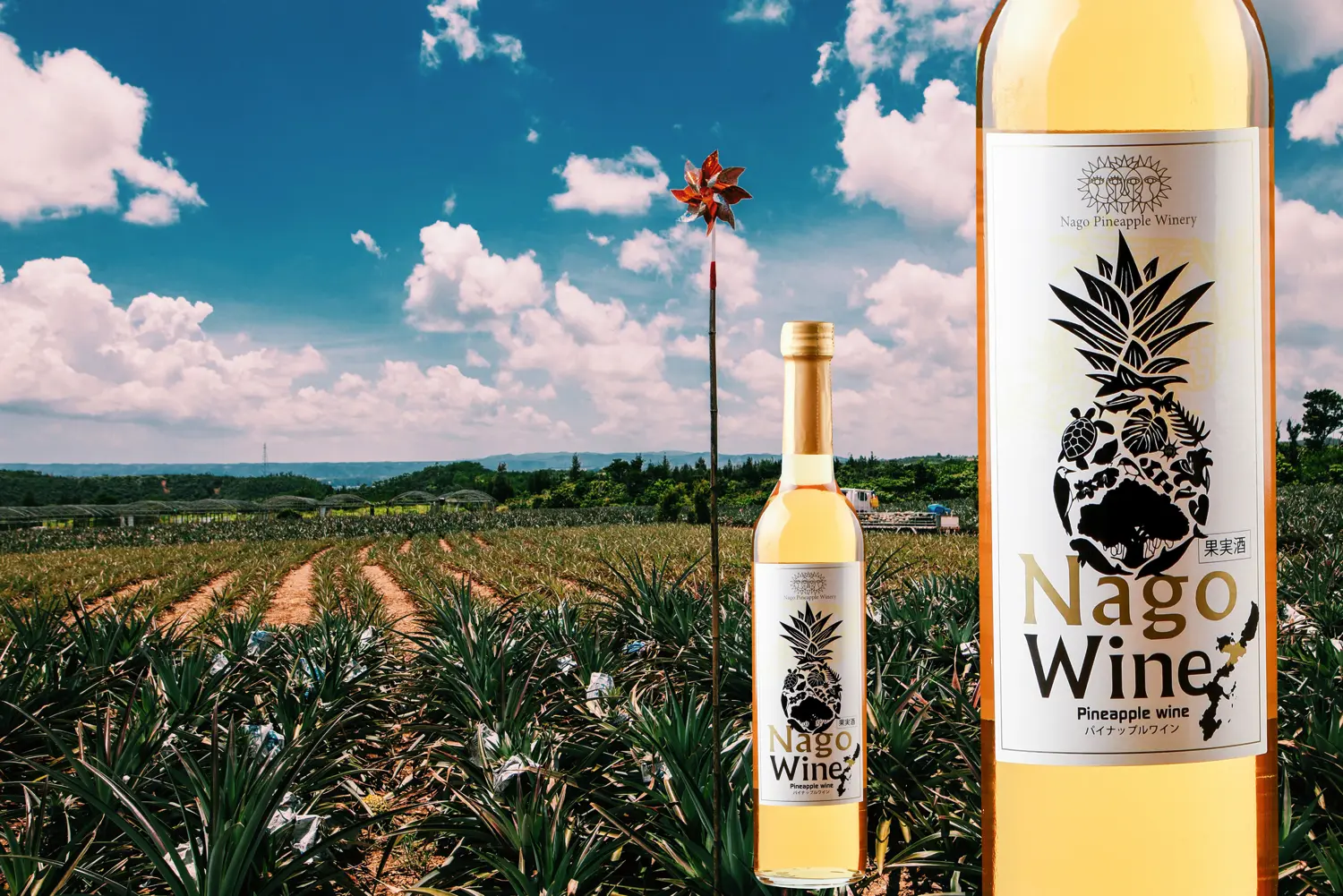 葡萄香氣與鳳梨果實感重疊交織的Nago Wine